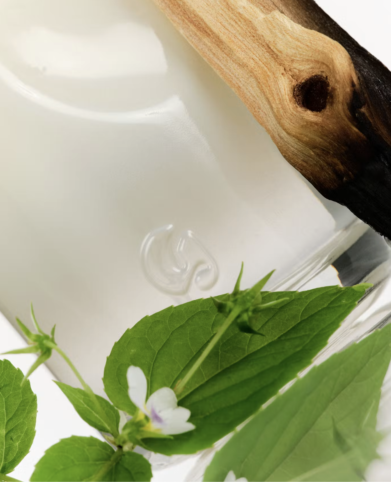 8 Summer Scents We're Wearing on Repeat
