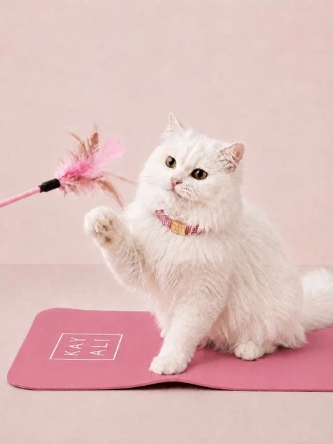 Kayali Is Turning Their Cat-Themed Scent Into an Adoption Drive