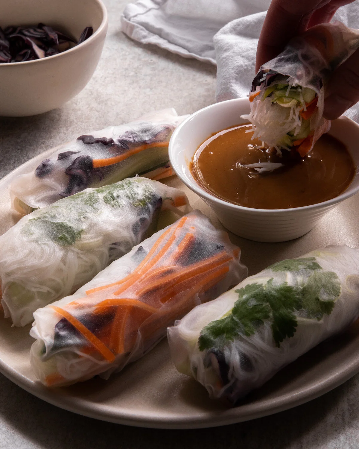 vegan_fresh_spring_rolls_2.JPG