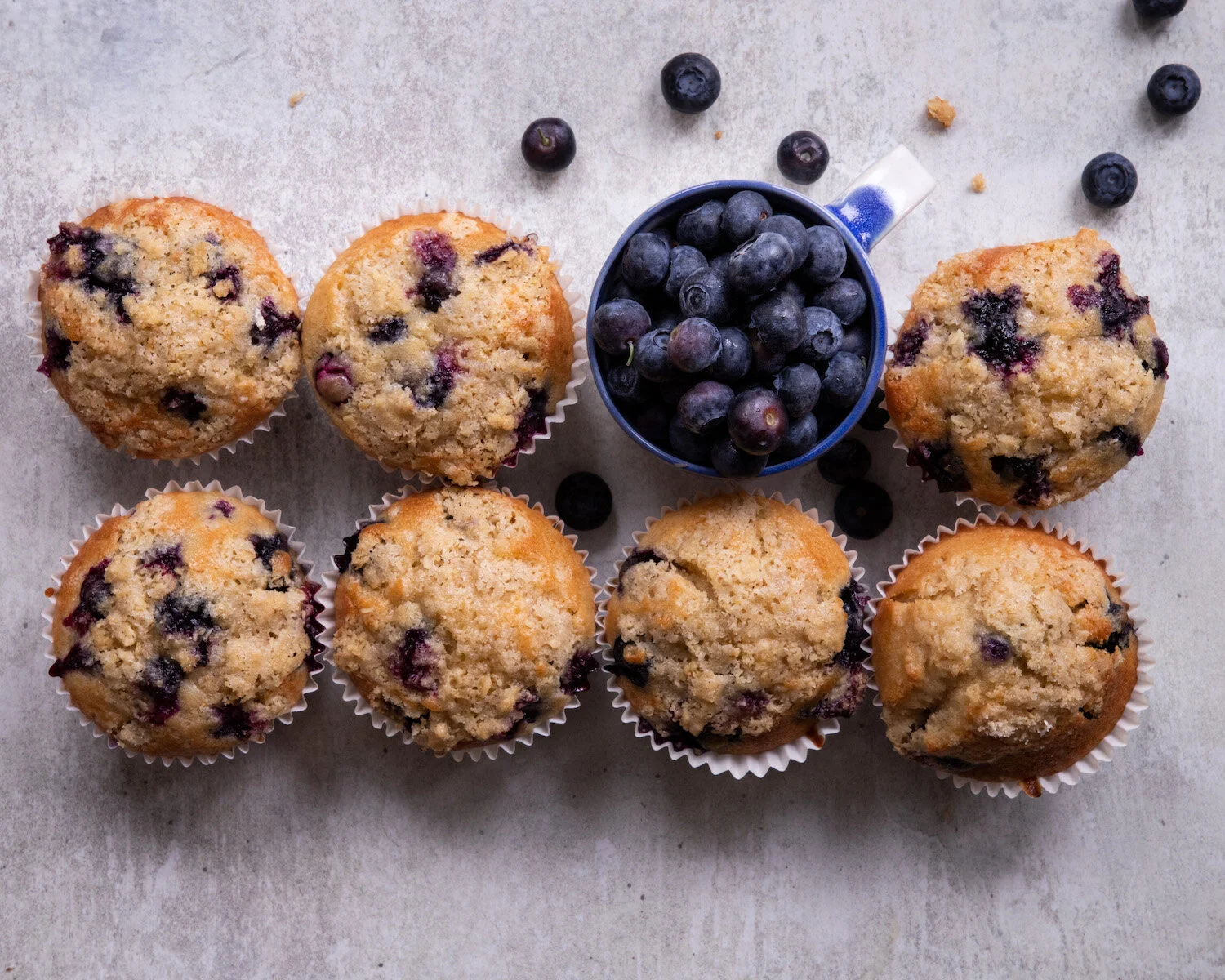 vegan_blueberry_muffins.JPG