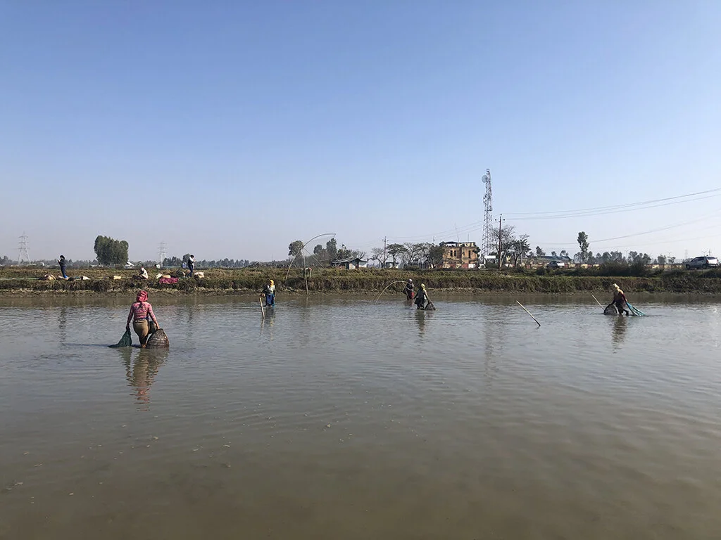 manipur_water_fishing.JPG