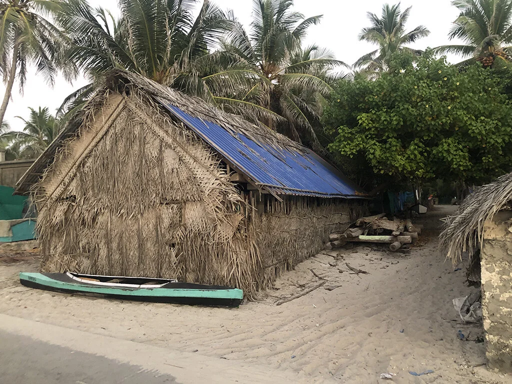 lakshadweep_thatch_vernacular2.JPG