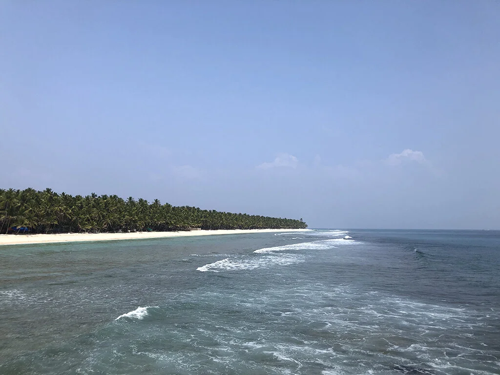 lakshadweep_water_ecosystem.JPG