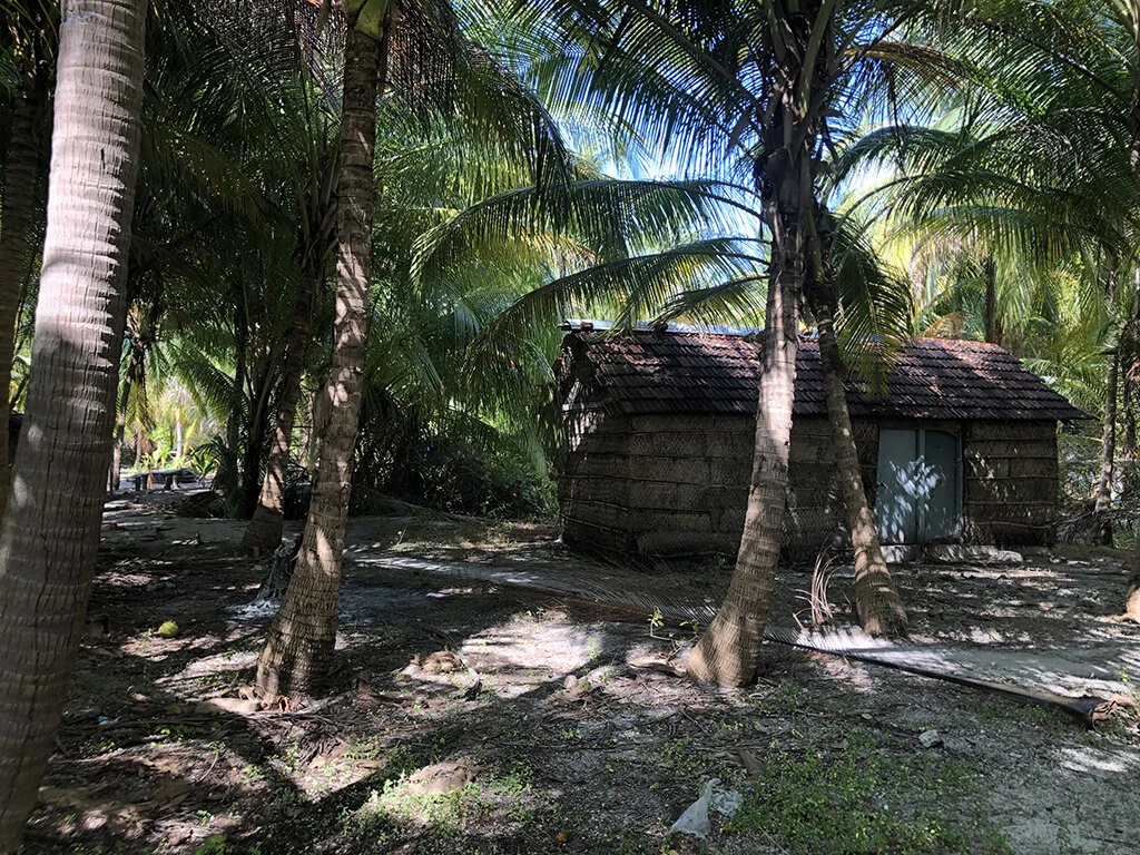 lakshadweep_thatch_traditional_ecosystem.JPG