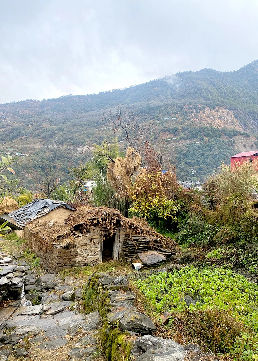 uttrakhand_stone_courtyard_settlement_traditional_vernacular_wisodm_ecology.jpg