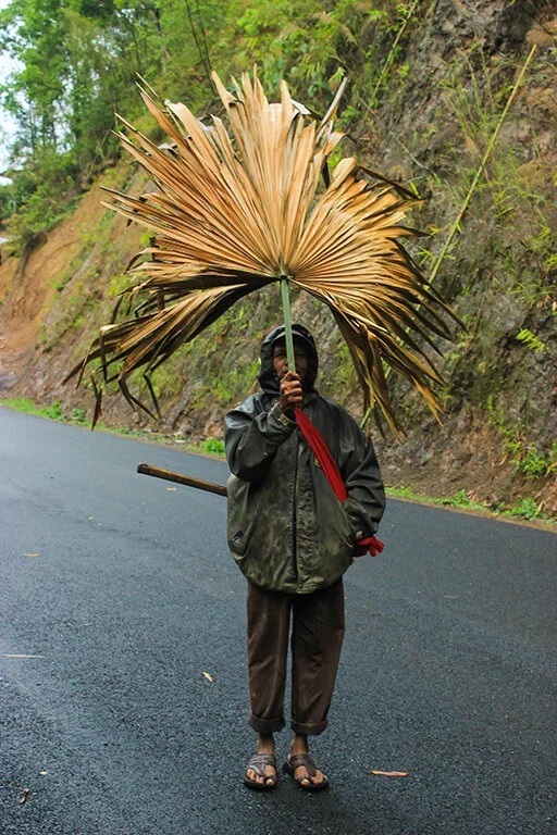 nagaland_palm_leaf_people.JPG
