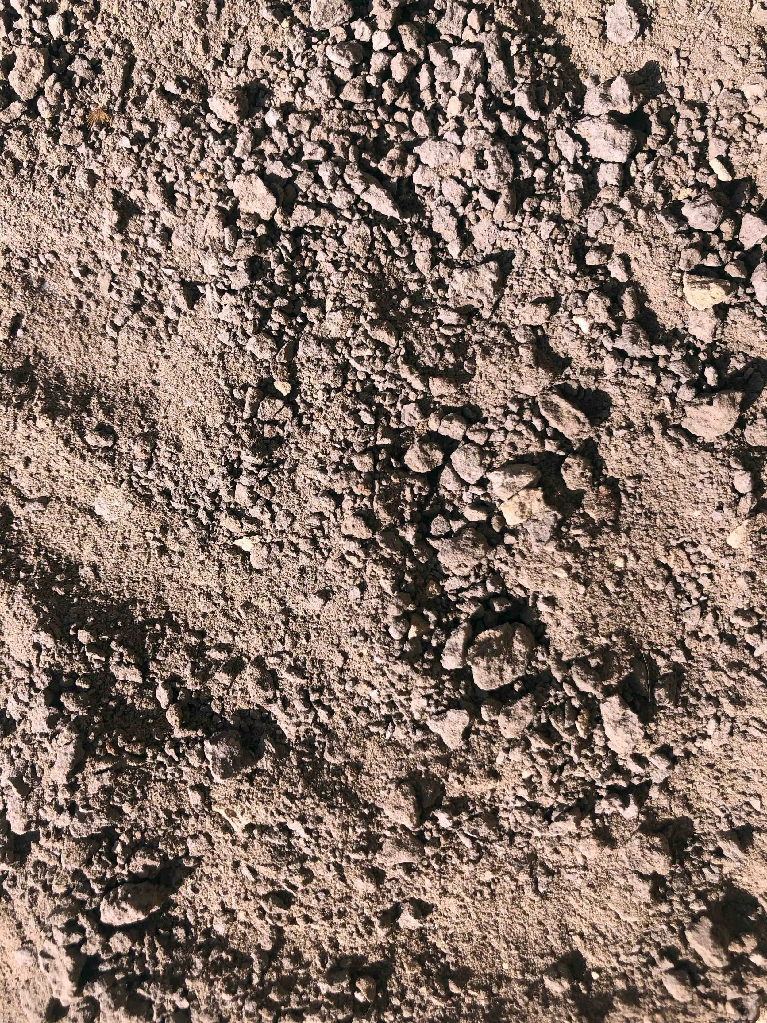 03. Kaali Mitti.JPG