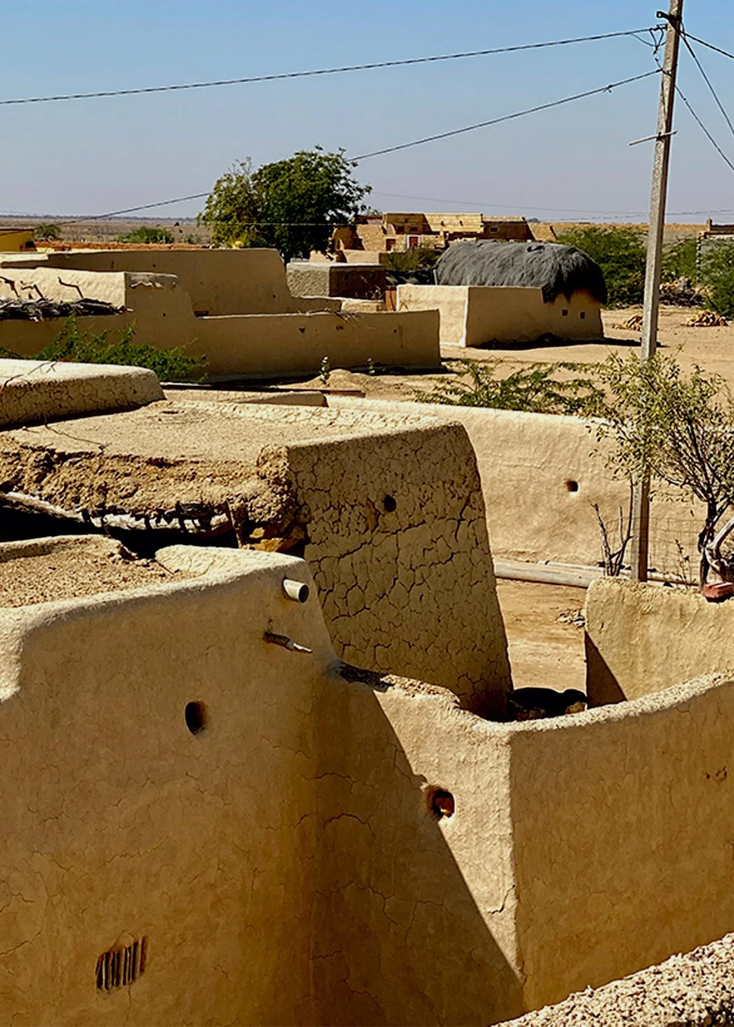 jaisalmer_settlement_traditional_vernacular_mud.jpg