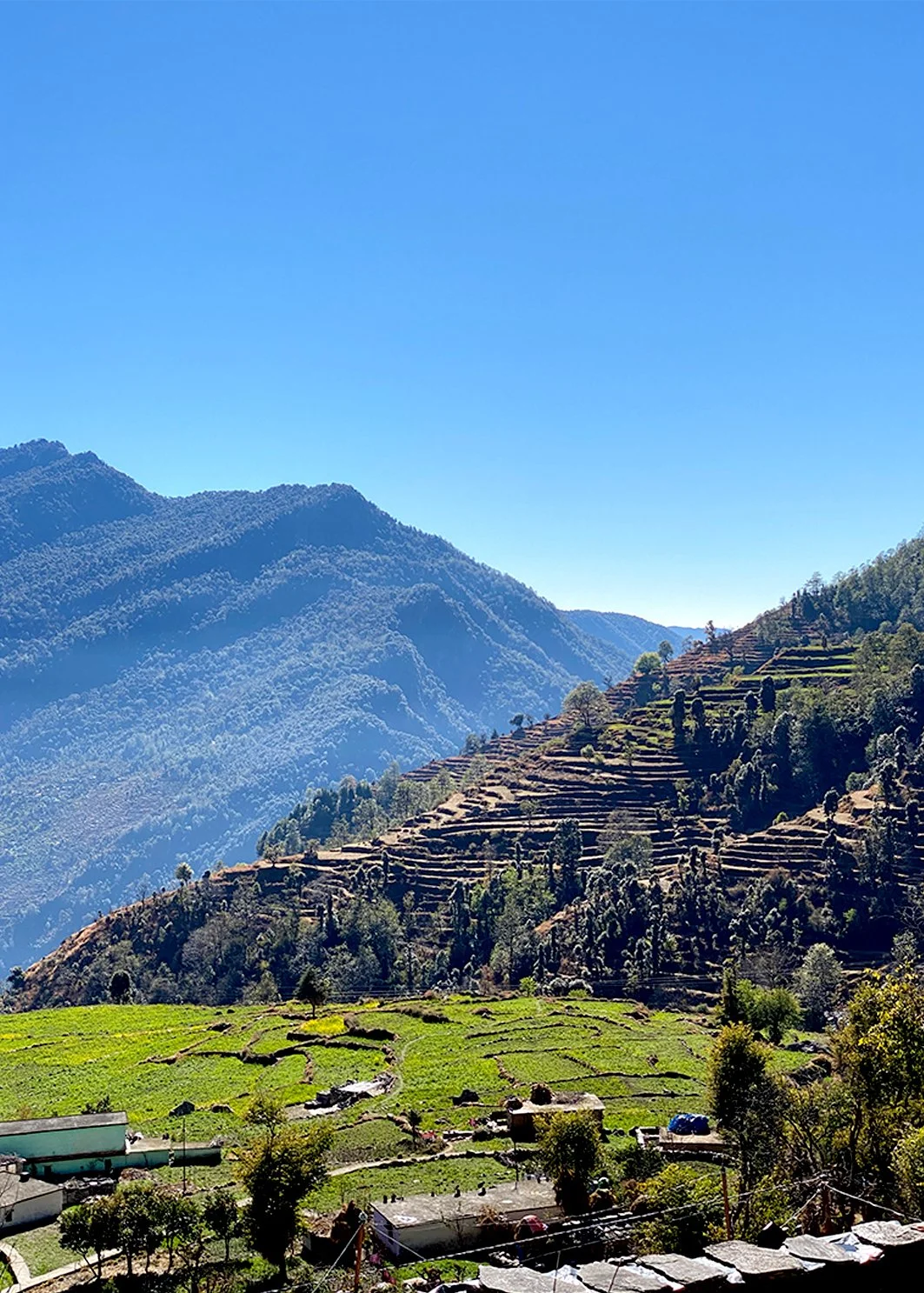 uttrakhand_irrigation_terraces_agriculture_vernacular_wisodm_ecology.jpg