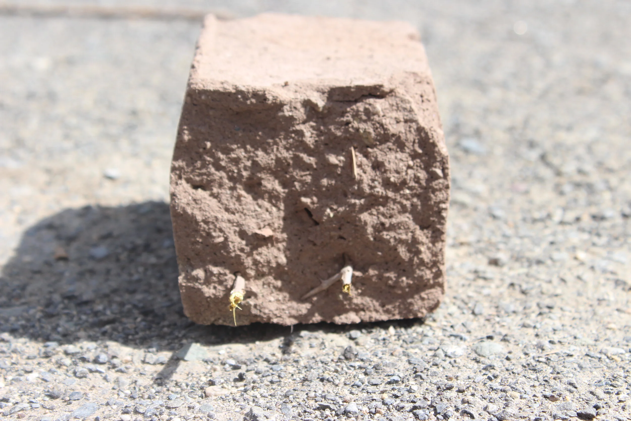 secmol_mud_clay_brick_traditional_vernacular.JPG