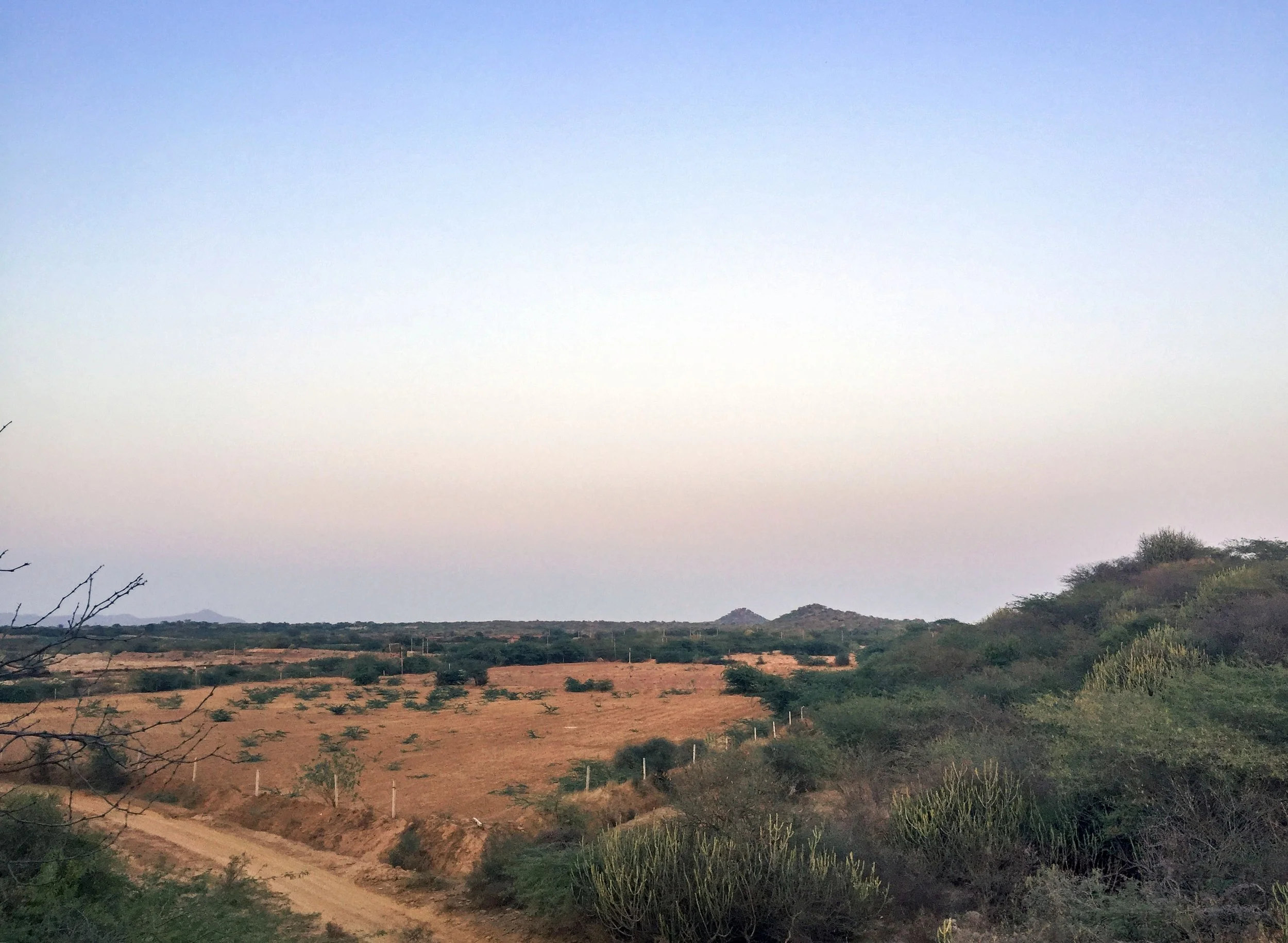 Landscape copy.jpg