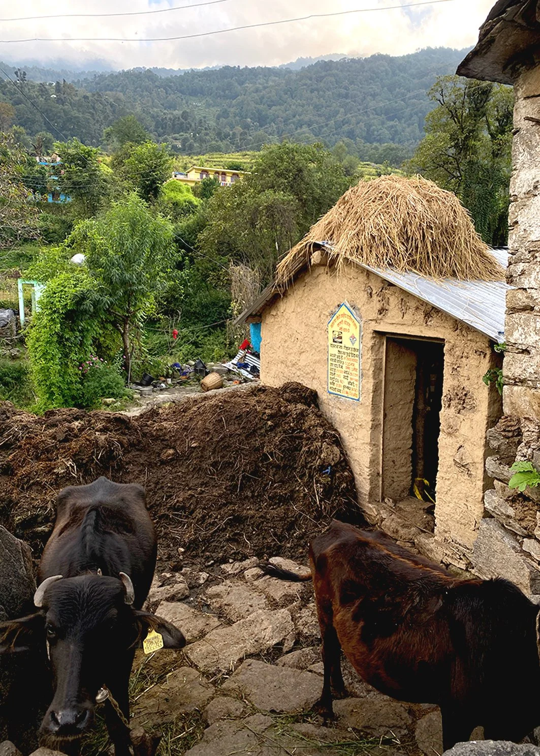 uttrakhand_courtyards_vernacular_wisodm_ecology.jpg