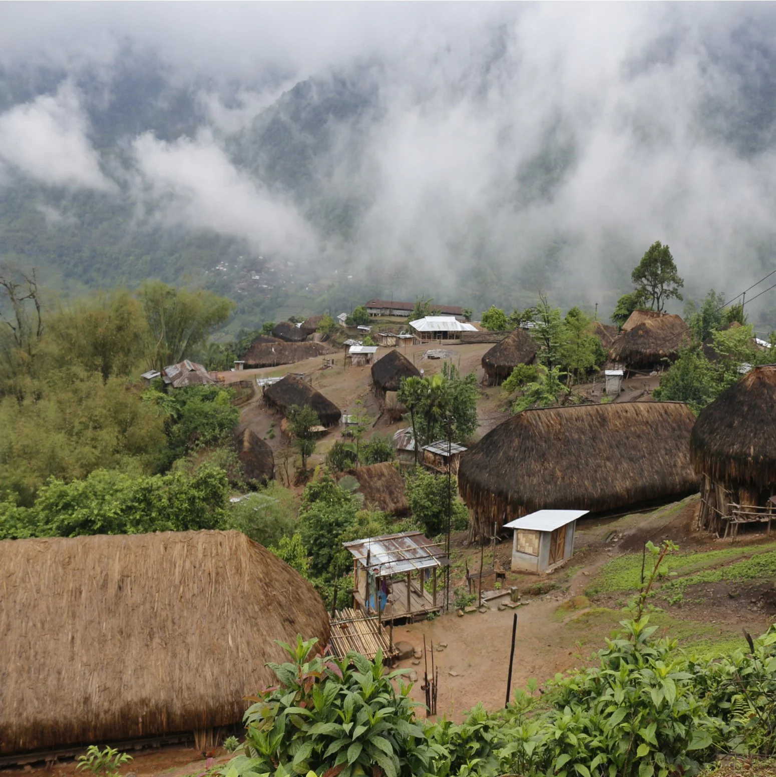 Arunachal Pradesh - Adi Pasi - Upper Siang