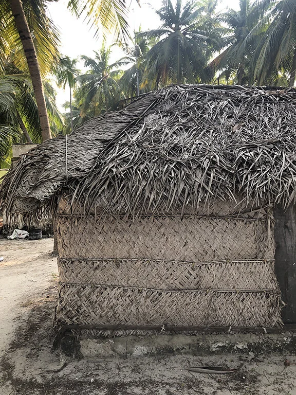 lakshadweep_thatch_traditional2.JPG