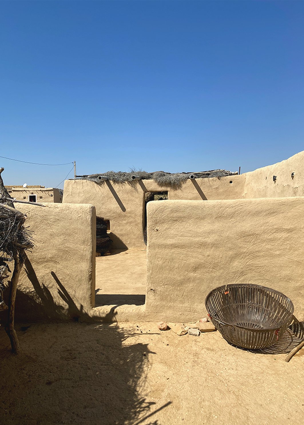 jaisalmer_mud_walls_plaster_wisdom_natural_vernacular_mud.jpg