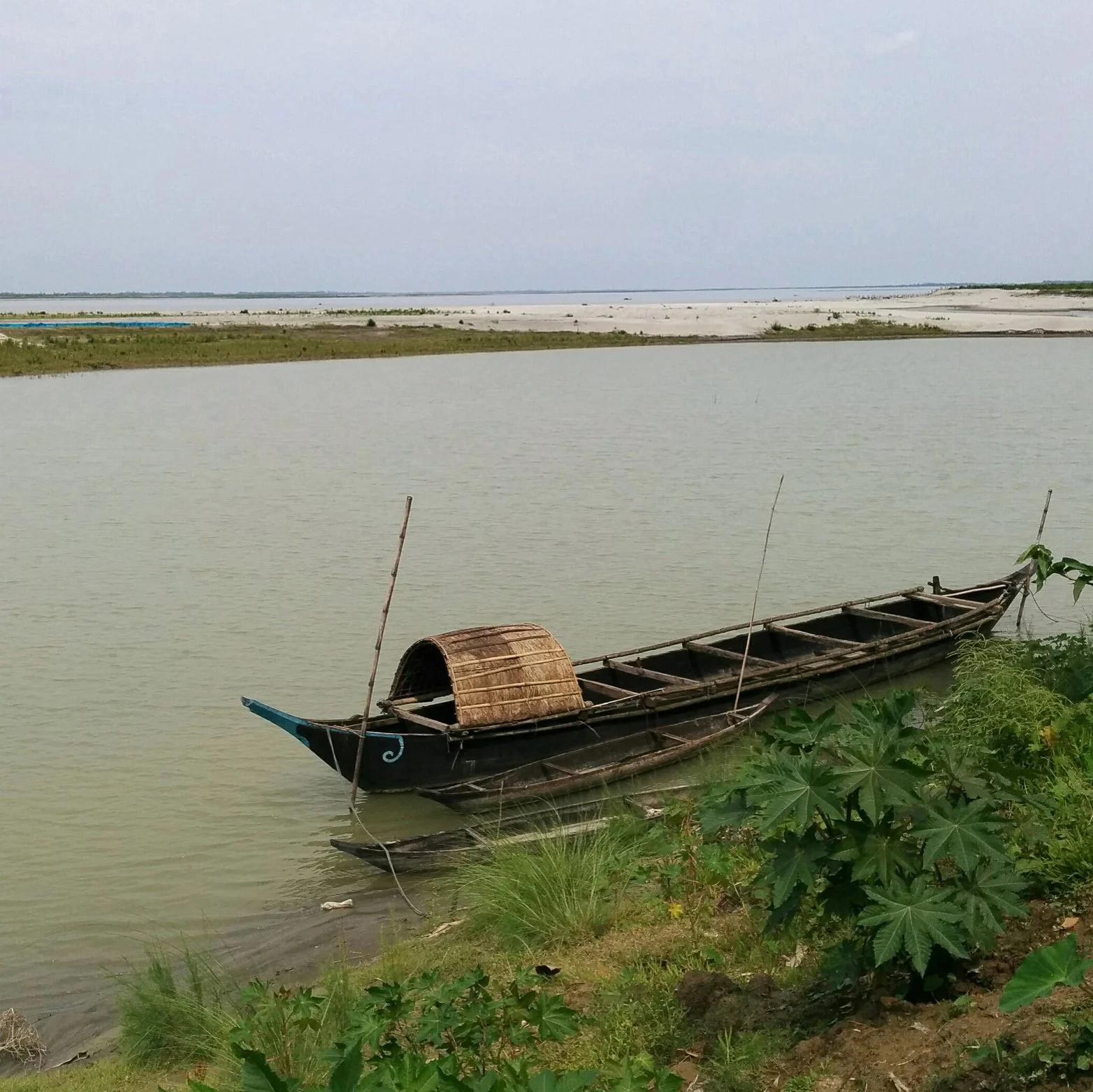 Assam - Pamua - North Lakimpur 
