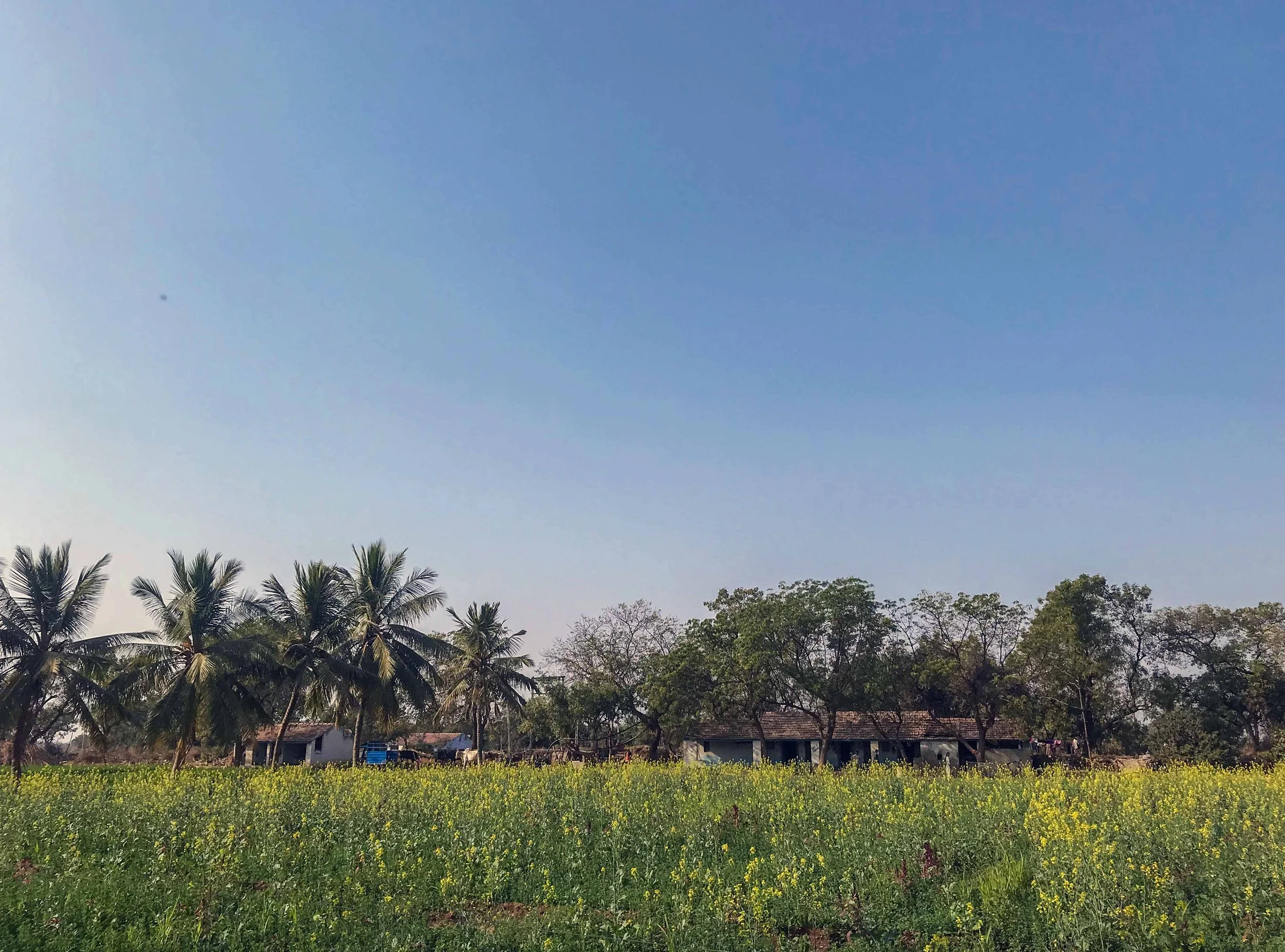 Sarso Landscape.jpg