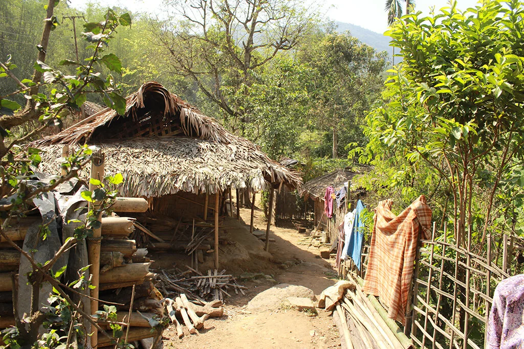 nagaland_bamboo_palm_vernacular.JPG