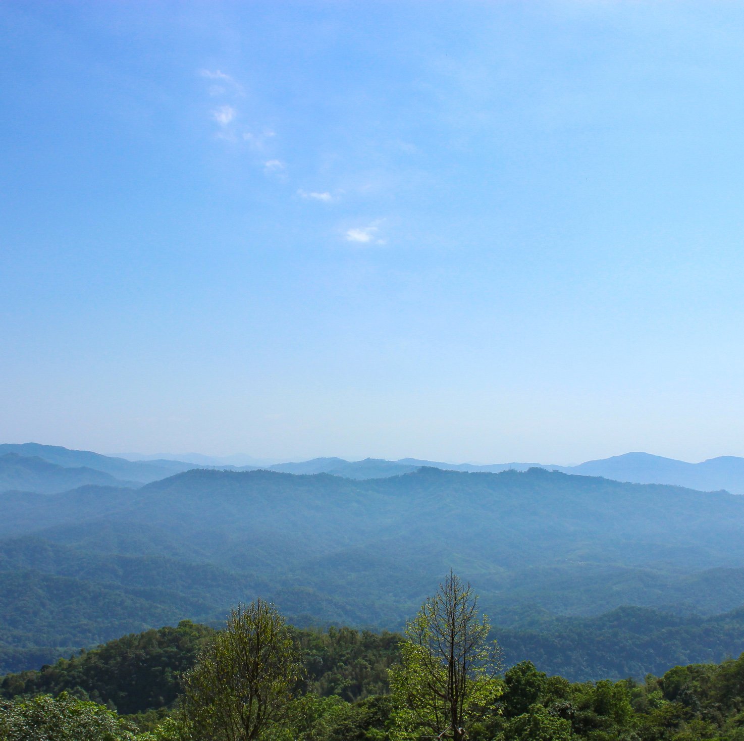 Nagaland