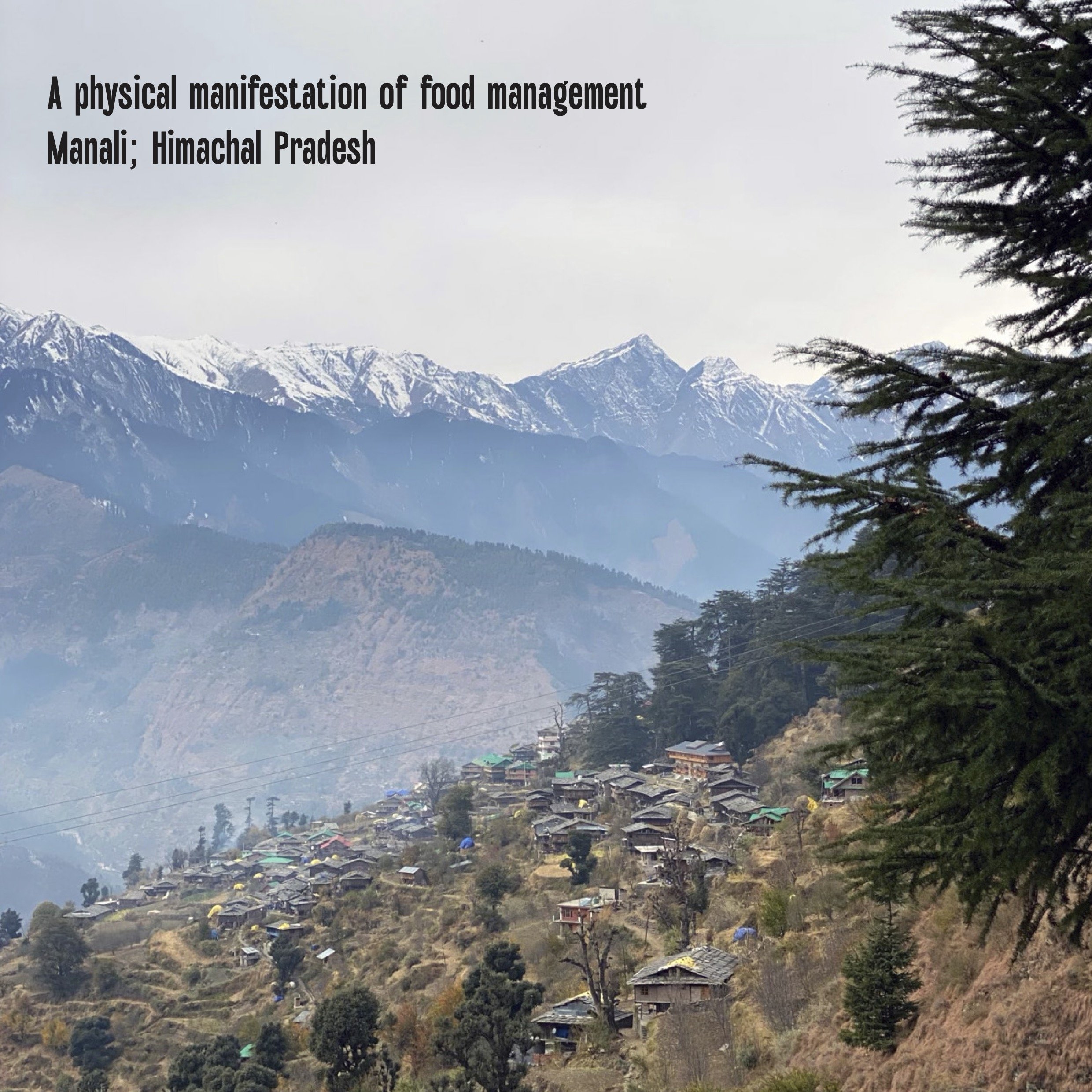 manali, himachal pradesh, IN