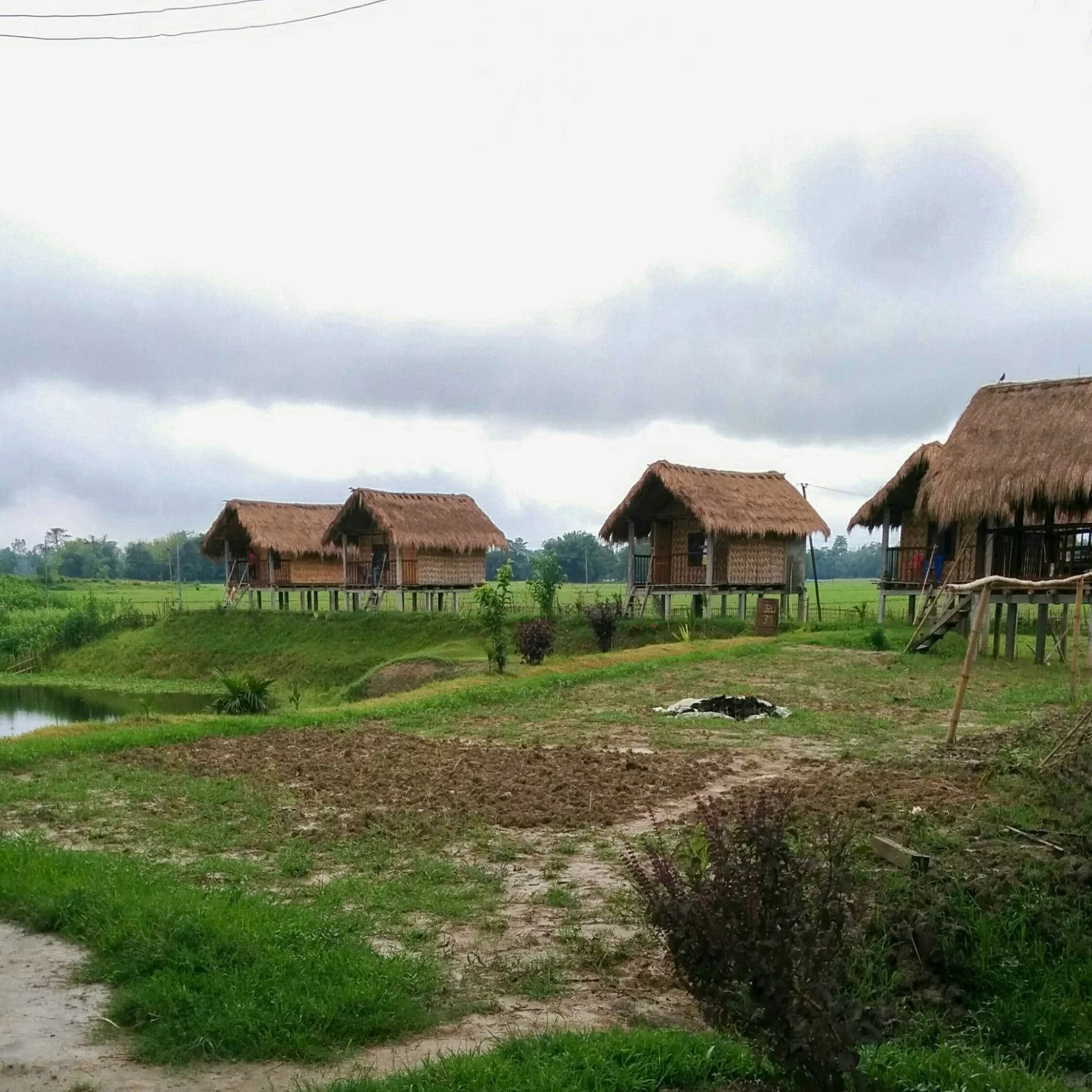 Assam - Salmora - Majuli