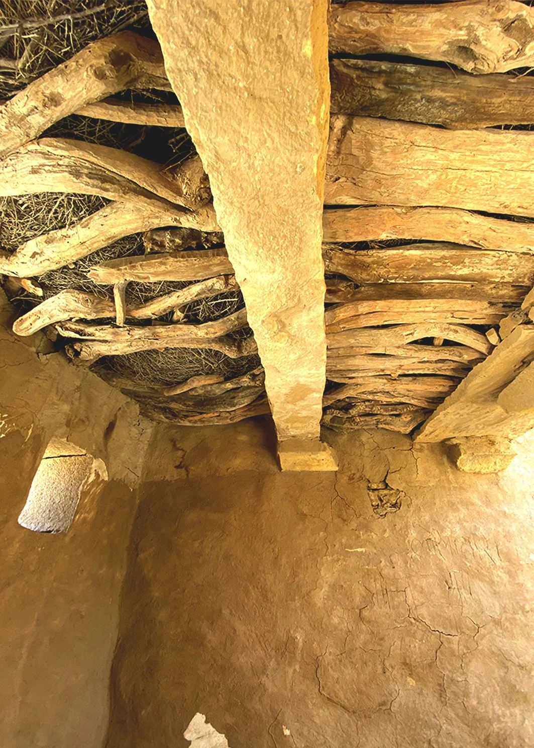 jaisalmer_stone_vernacular_grass.jpg