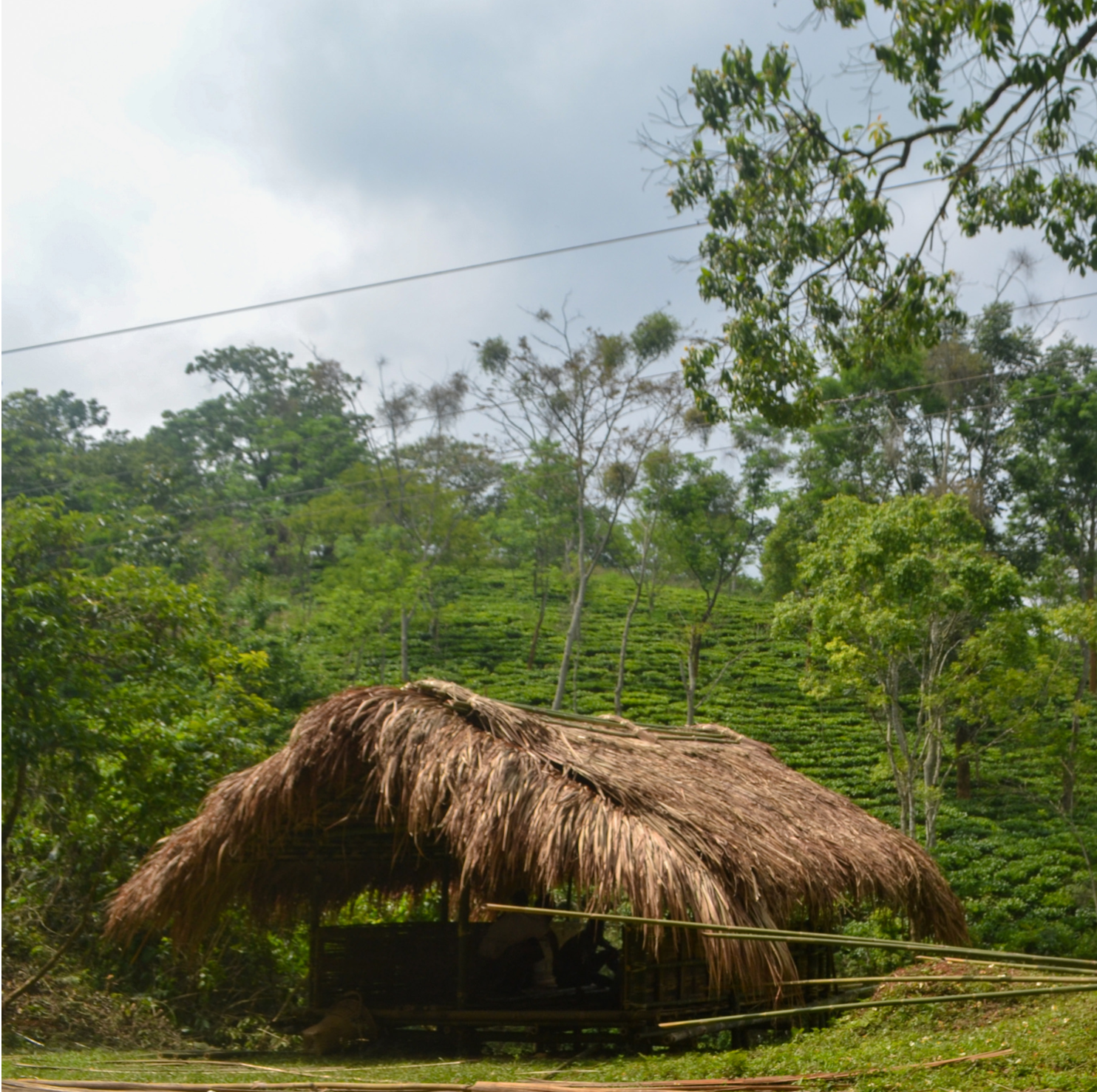 Granary - Meghalaya