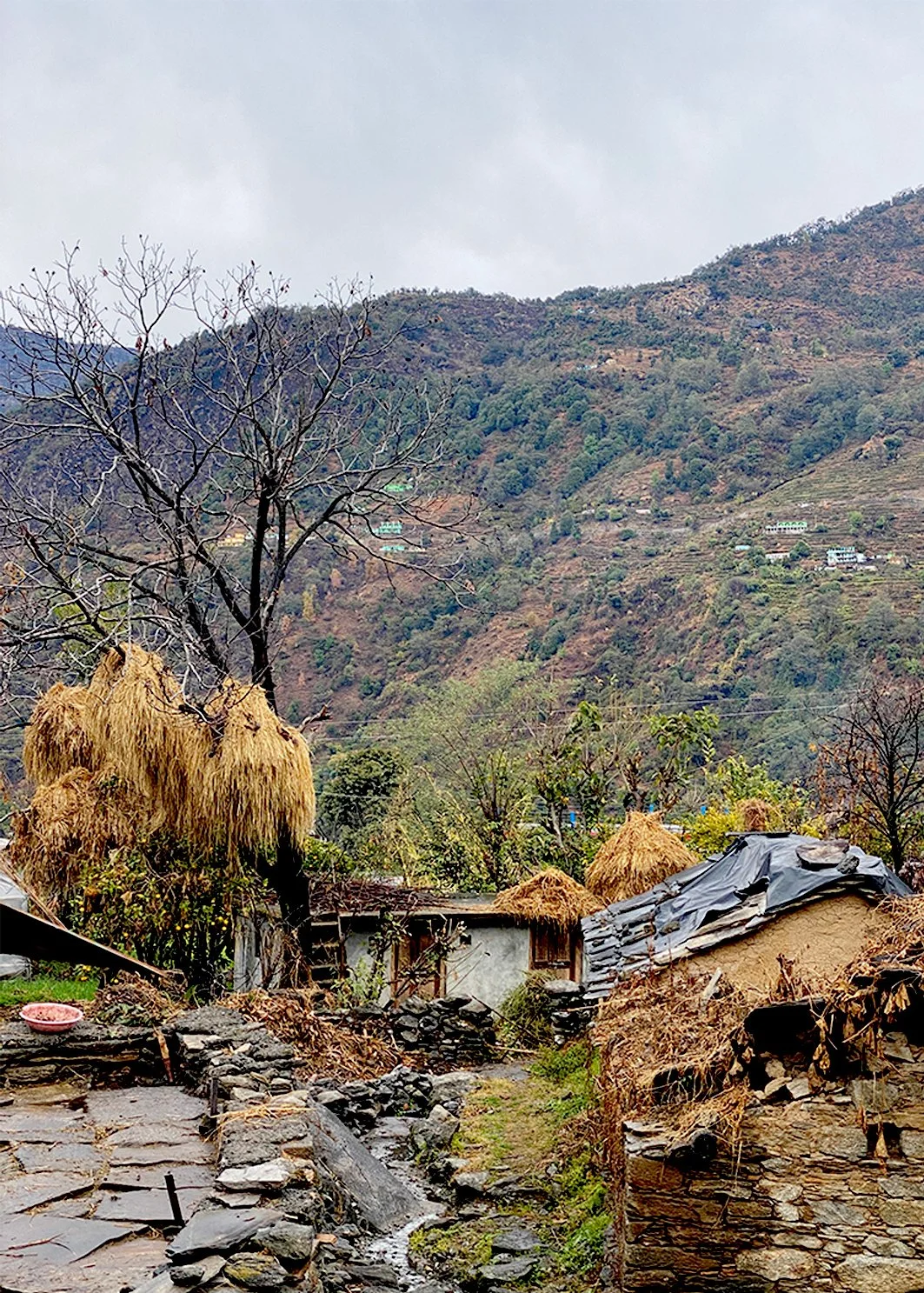 uttrakhand_stone_local_traditional_courtyard_settlement_traditional_vernacular_wisodm_ecology.jpg