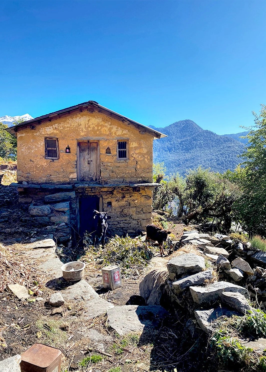 uttrakhand_stone_mud_traditional_knowledge_vernacular_wisodm_ecology.jpg