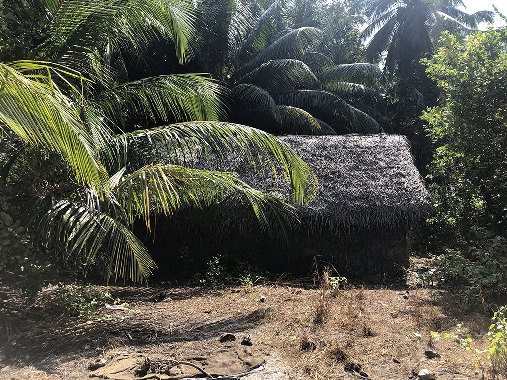 lakshadweep_thatch_traditional3.JPG