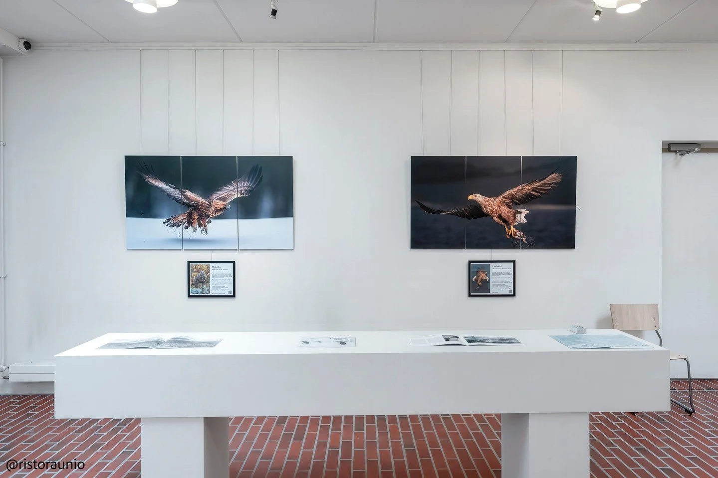 Risto Raunio / @ristoraunio⁠
⁠
⁠
Matta laminoidut Dibond-taulut Risto Raunion n&auml;yttelyyn El&auml;imill&auml; on asiaa!⁠
N&auml;yttely esill&auml; Yrj&ouml; Liipolan taidemuseossa 8.7.&ndash;28.9.2025.⁠
⁠
⁠
Matte-laminated Dibond prints for Risto