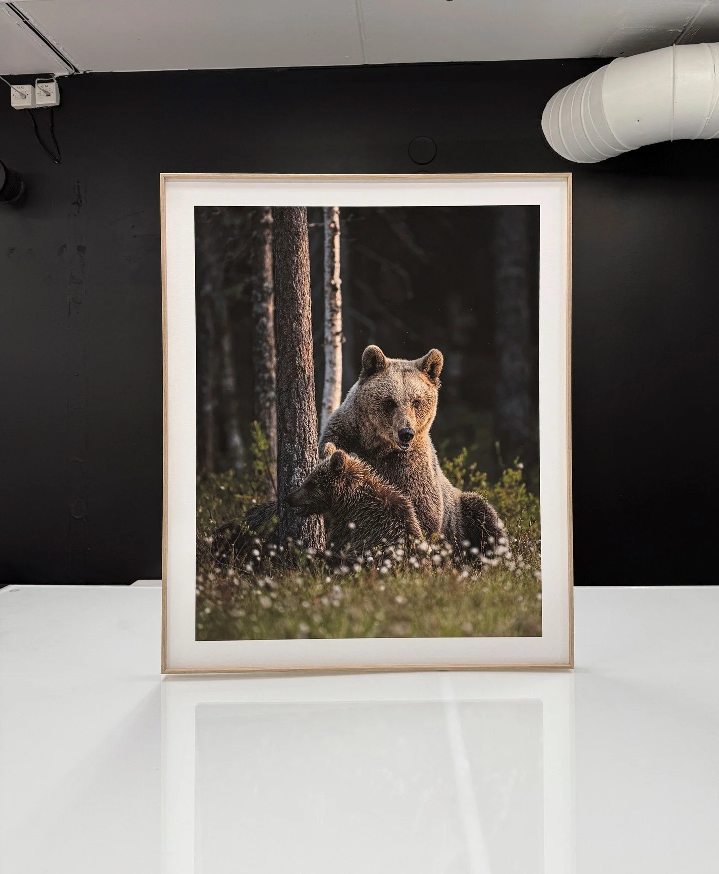 A beautiful print by @linakayser &mdash; Mama Bear Love, produced on Hahnem&uuml;hle Hemp and framed with oak aluwood frames.⁠
⁠
Lina Kayser is a Norwegian wildlife photographer, one of just two Norway-based artists using our webshop service where we