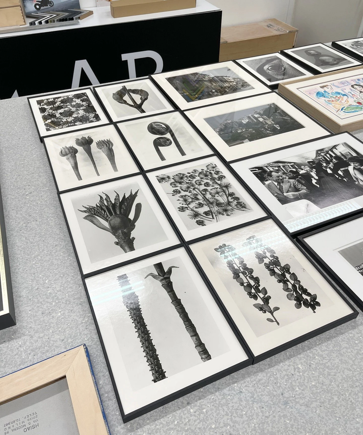 Old photographs framed in a timeless classic style.⁠
⁠
Our customer brought in a collection of older photographs for framing and chose a very elegant, traditional combination: natural white mountboard, matte black Nielsen 11 aluminium frame, and anti