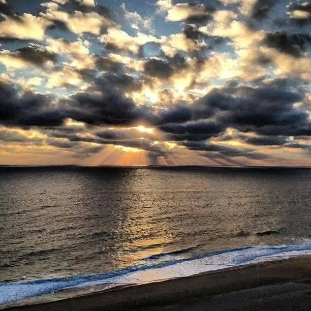 FJ Recovery Stories Episode 30: Ashley Elizabeth