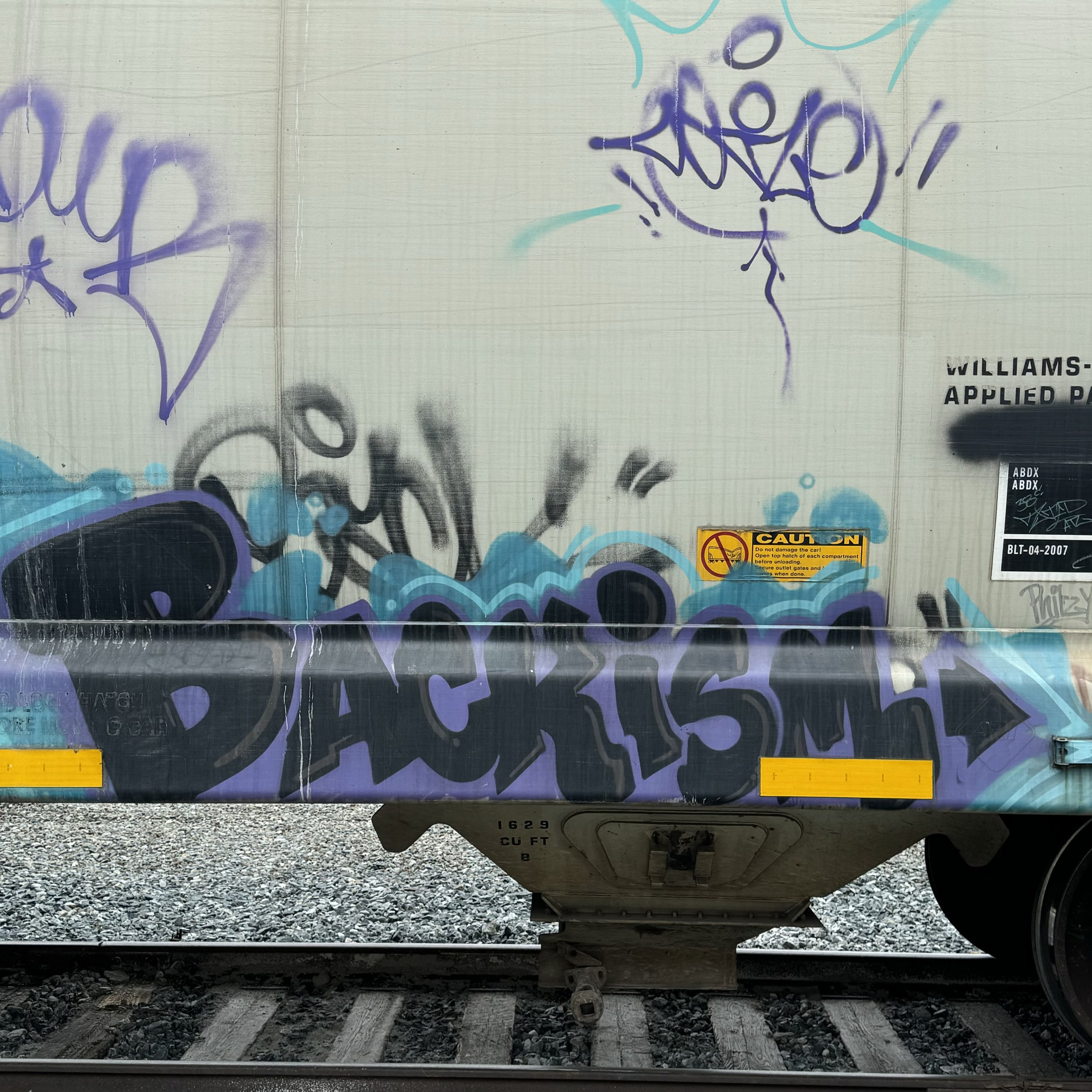 IMG_2666.jpeg