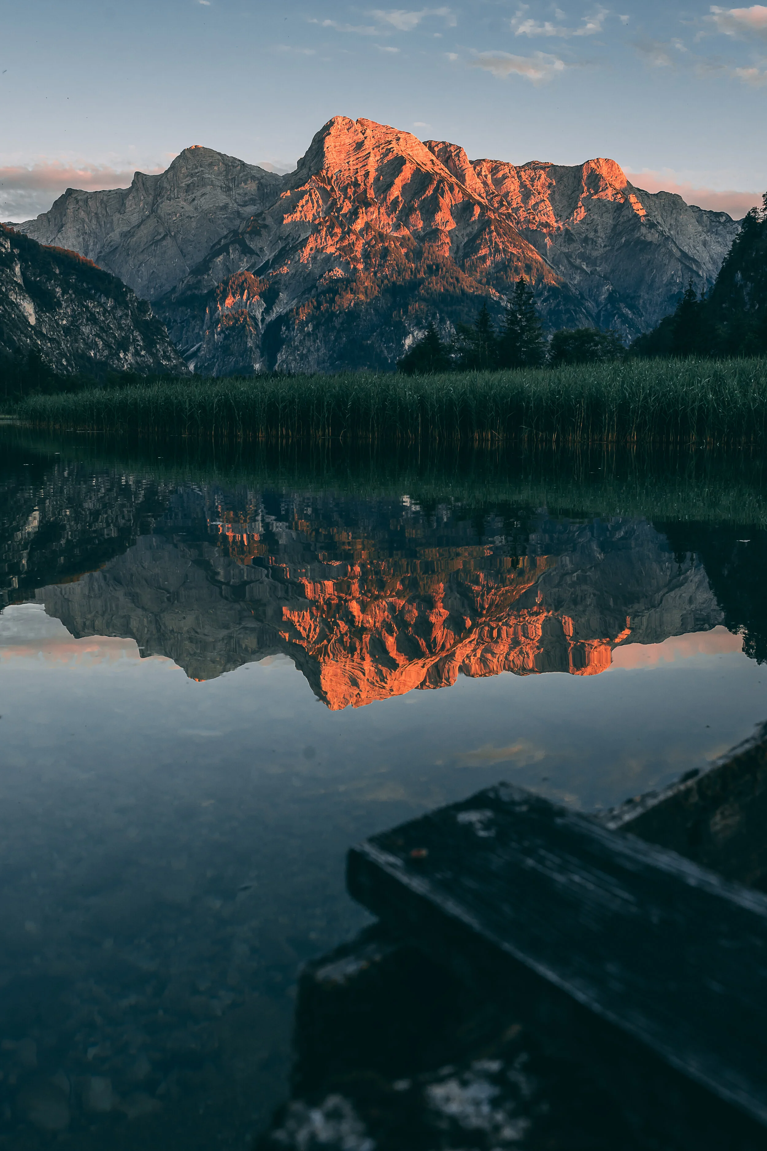 Almsee.redlight.jpg