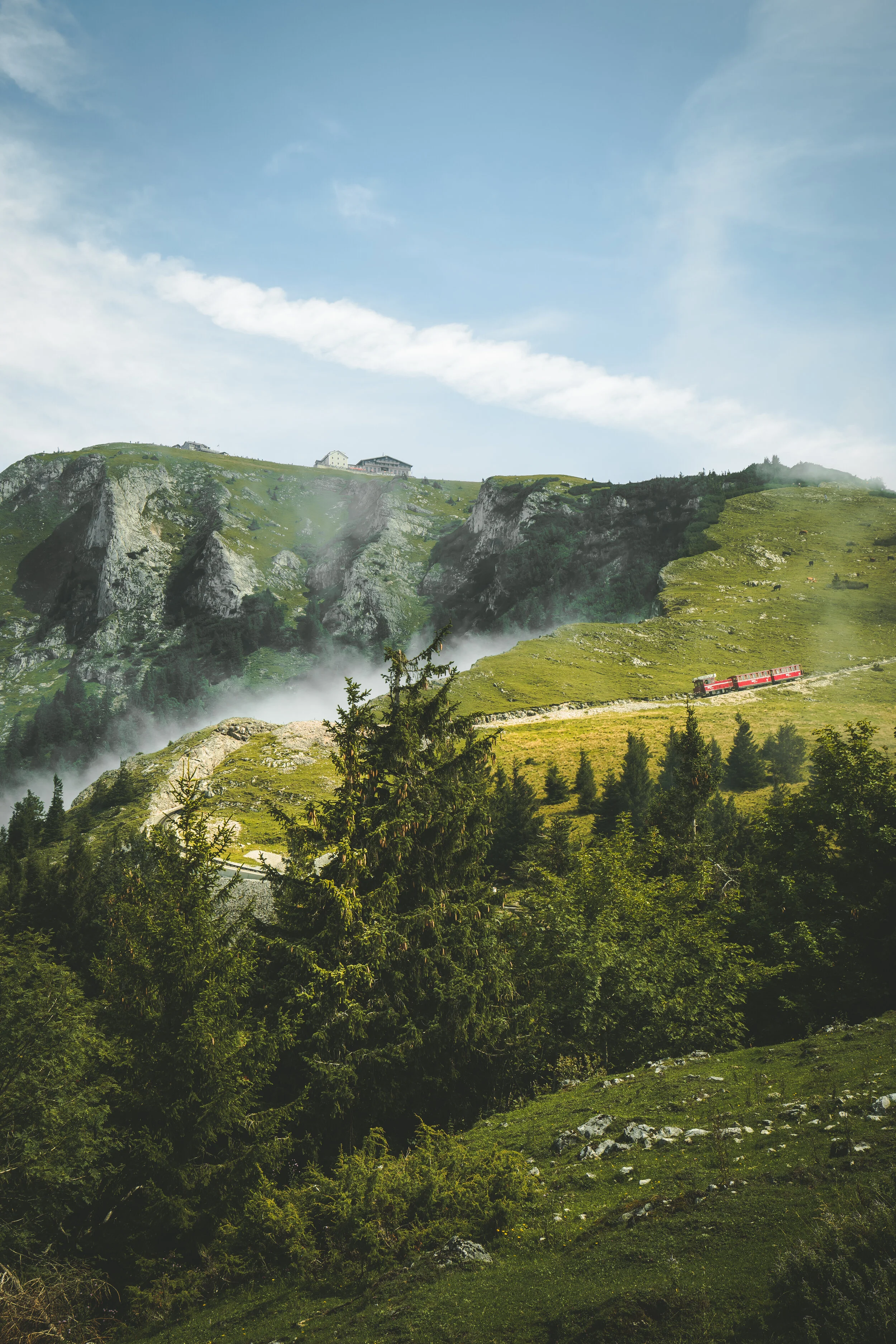 Schafbergbahn (1 von 1)-2.jpg