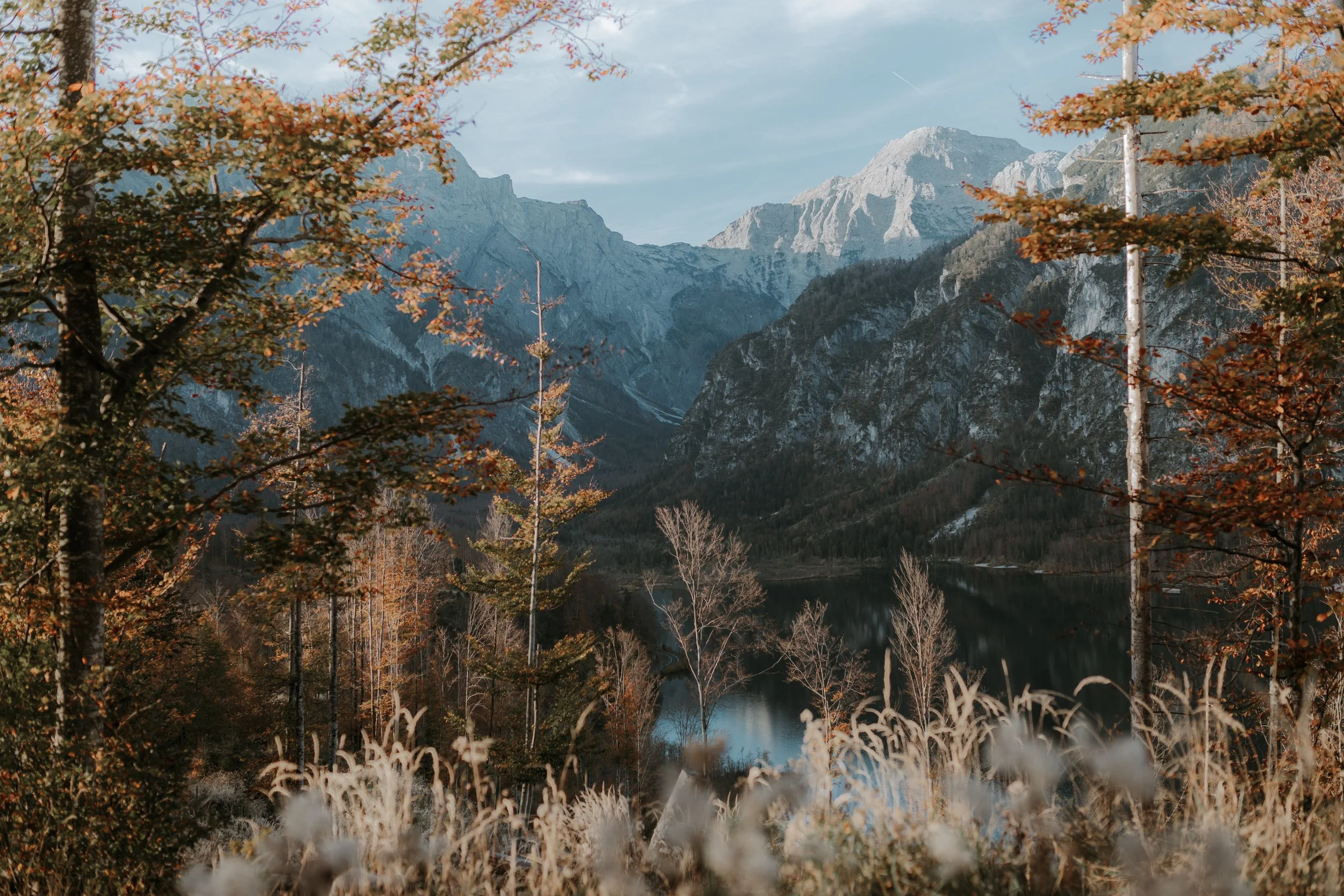 Anna&Peter_Almsee-83.jpg