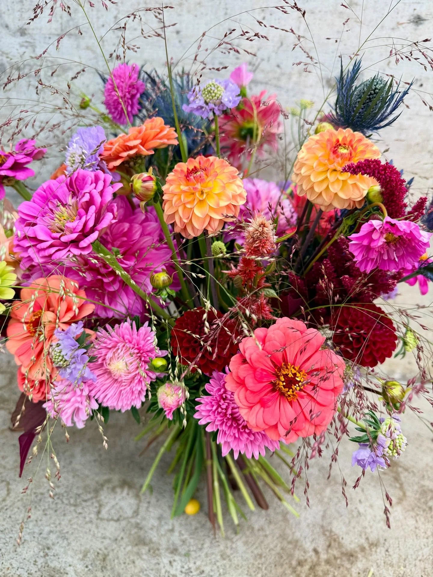 Auf Bestellung k&ouml;nnen auch am Montag bis Mittwoch Blumenstr&auml;usse wie dieser abgeholt werden. 

#blumenstr&auml;u&szlig;e #sommerblumen #blumenausdemgarten #oberwilbeizug #zug #florist #flowerbouquets