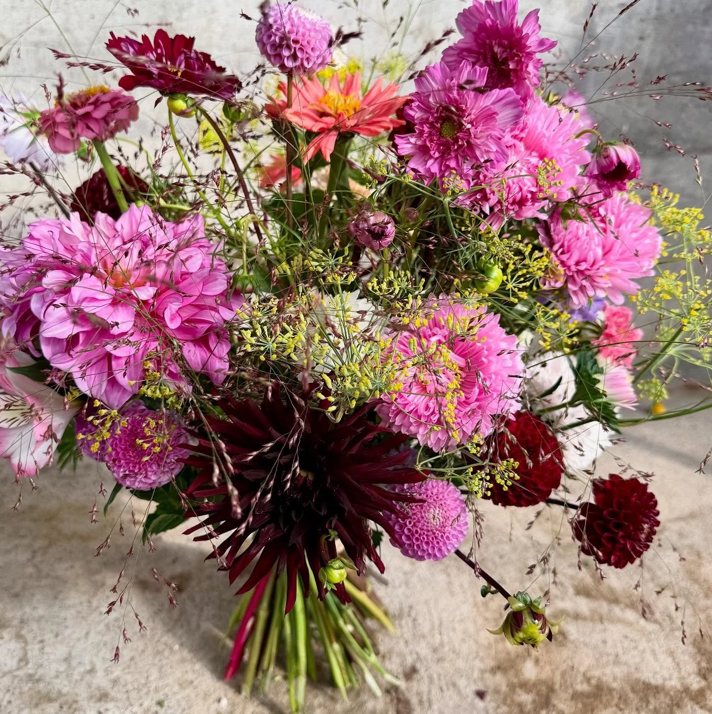 Einen Blumenstrauss noch kurz vor dem Regen zusammengestellt ☔️☔️
&uuml;ber diesen sanften Regen freue ich mich grad sehr🦋

#blumenstrauss #saison #sommerblumen #gartenblumen #florist #oberwilbeizug #august