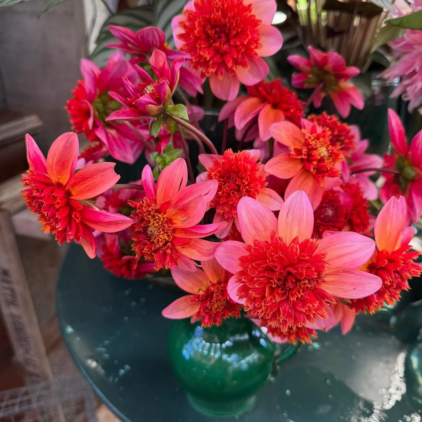 bienenfreundliche Dahlien

#dahlien #sommergef&uuml;hle #flowersinavase  #oberwilbeizug #florist #dahliasofinstagram