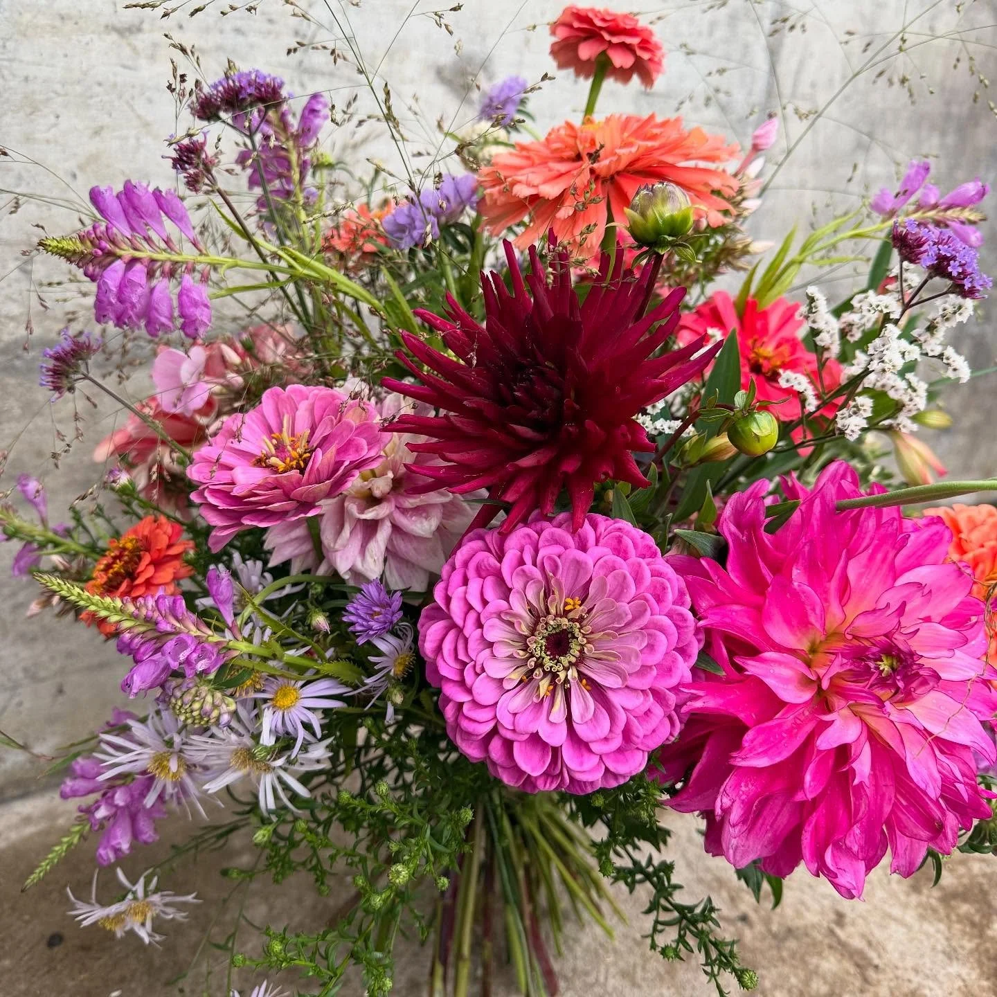 Blumenstrauss mit soeben frisch geschnitttenen Blumen aus dem FLORALISA Garten 👩🏻&zwj;🌾

#gartengl&uuml;ck #sommerblumen #flowerbouquet #blumenstrauss #decoration #saison #septemberflowers