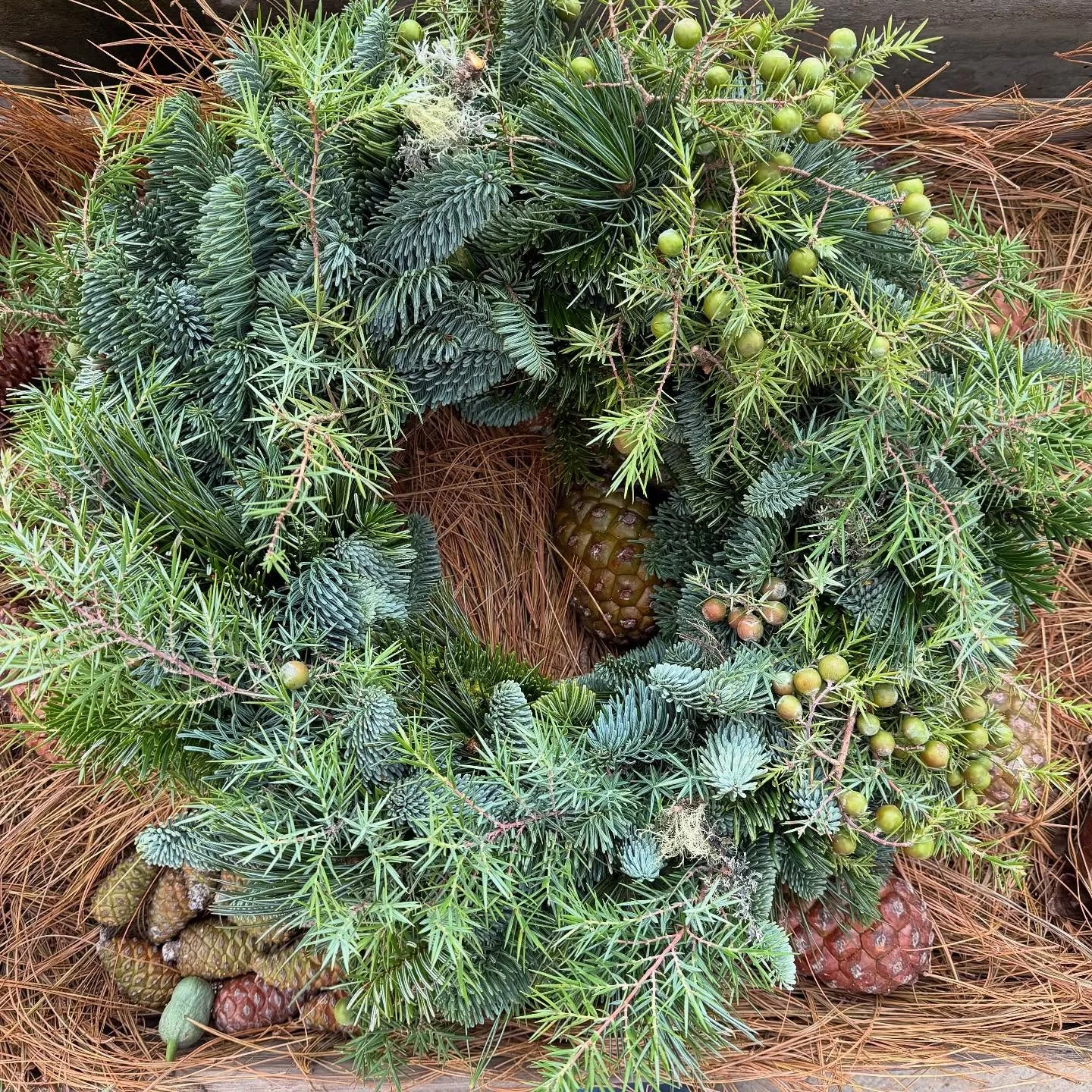 Weil ich es so gerne mache🤩 das Kranzen geht weiter&hellip;.

#tannengr&uuml;n #winterkranz #wreath #adventskranz #florist #adventdecoration #oberwilbeizug