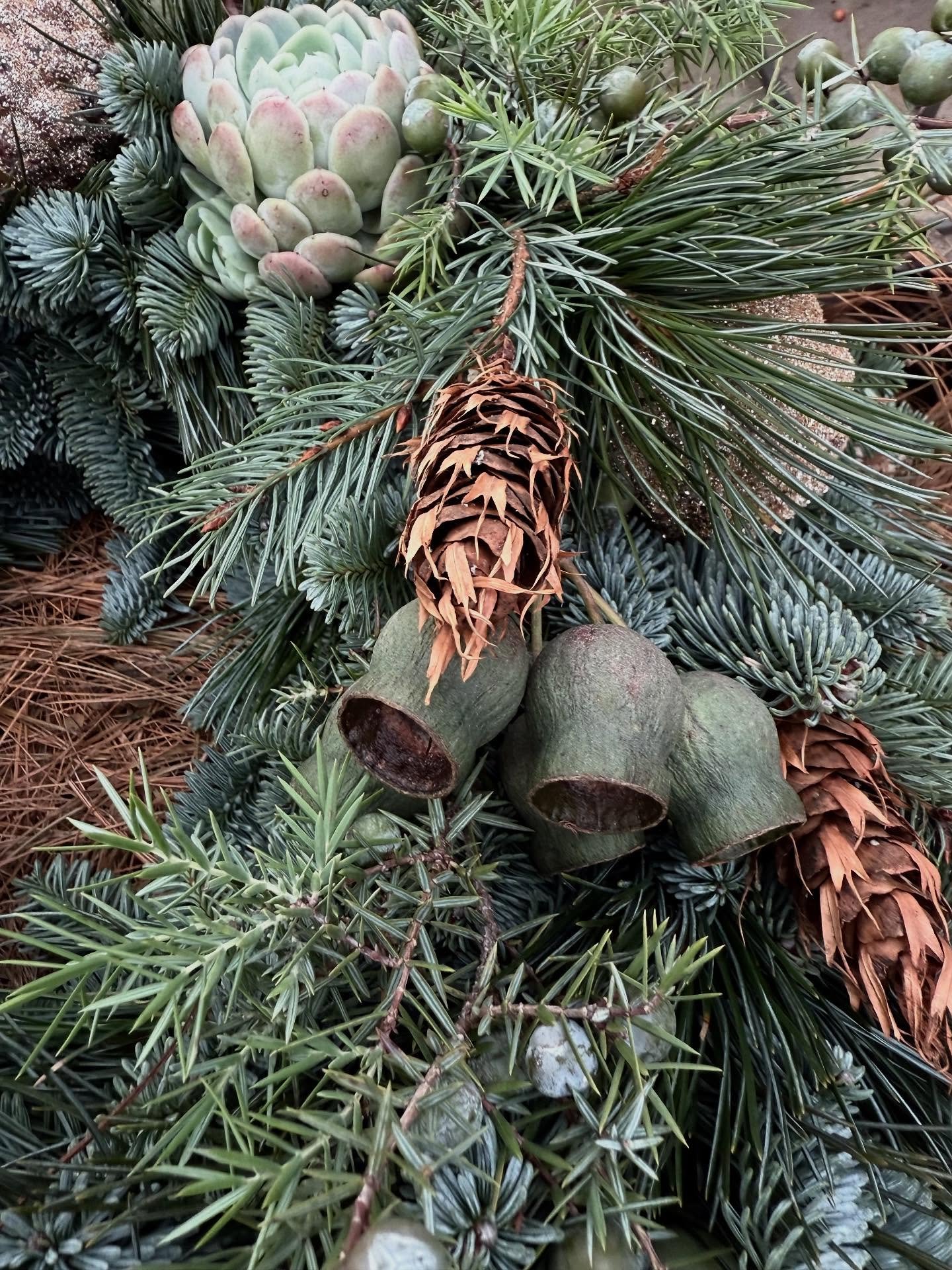 Vor der Winterpause bin ich noch  am Montag &amp; Dienstag von 9.00 -18.00 Uhr und am Mittwoch von 9.00 - 15.00 Uhr f&uuml;r euch da. Ich freue mich auf deinen Besuch! ⭐️

#weihnachten #kr&auml;nze #oberwilbeizug #geschenke #florist #natur #dekoratio