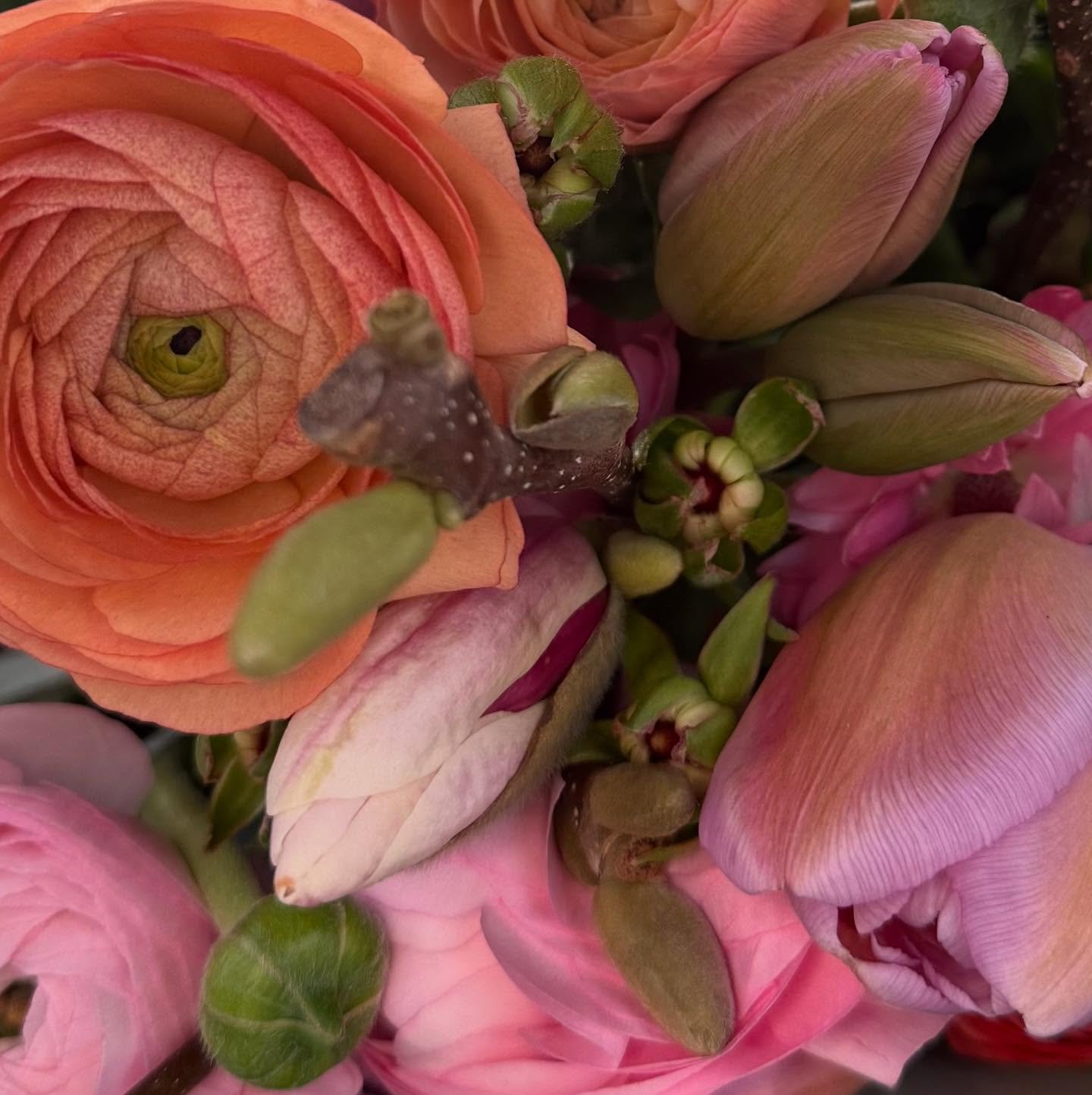 diese Farben&hellip;.huch🫠🫠🫠

#fr&uuml;hlingsfarben #fr&uuml;hling #blumen #floralisa #fr&uuml;hlingsgef&uuml;hle #pastell #oberwilbeizug