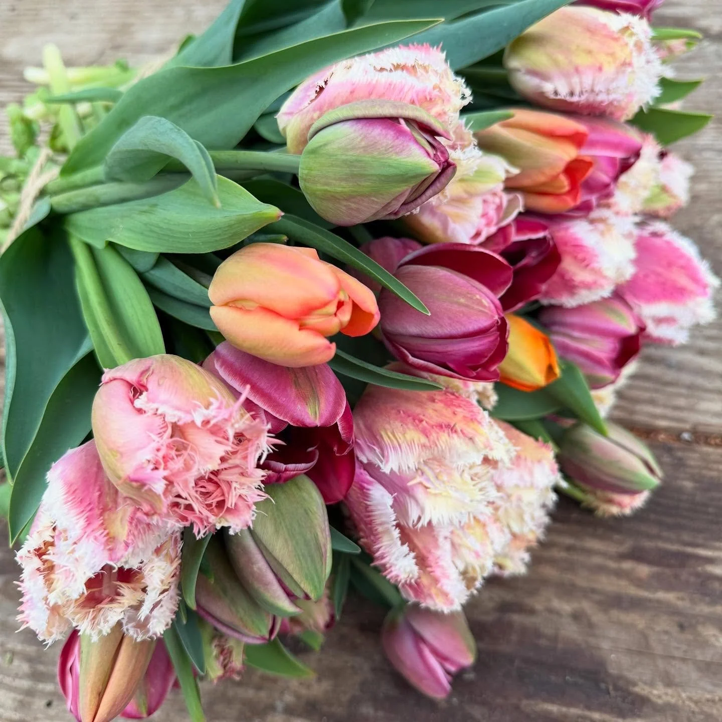 Freitag morgen, frisch aus dem Garten.

#tulpen #garten #florist #oberwilbeizug #floralisa #tulpenstrauss  #spring #april
