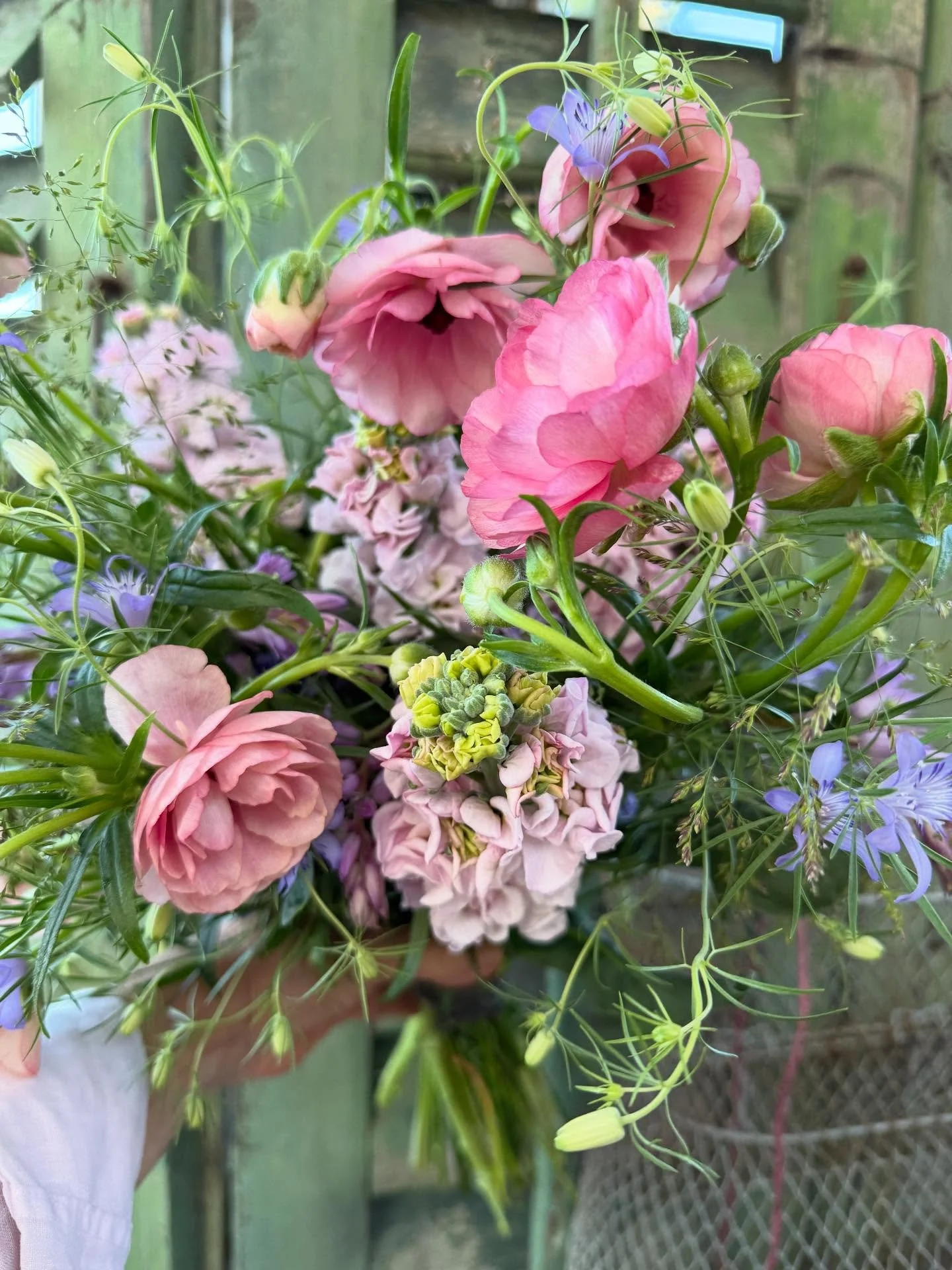 goodbye april🌸

#april #springflowers #florist #blumenstrauss #natur #oberwilbeizug #stadtzug
