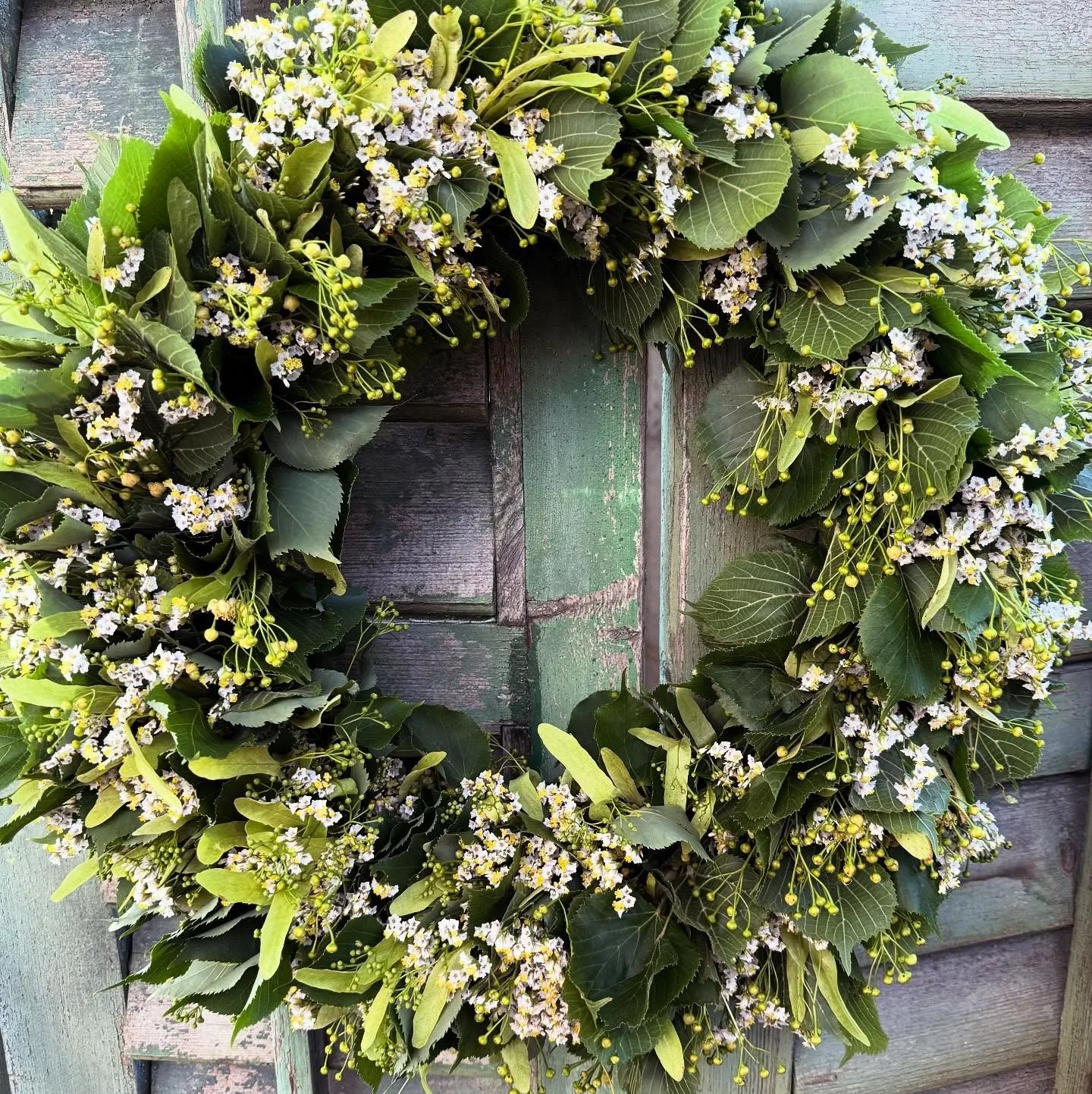 Zus&auml;tzlicher Lindenbl&uuml;tenkranz Workshop am 2. Juni 2026, 18.30 Uhr! 

Floralisa, M&uuml;limattweg 30, 6300 Zug

Anmeldung bitte &uuml;ber kontakt@floralisa-blumen.ch

#lindenkl&uuml;ten #kranz #lindenbl&uuml;tenkranz #workshop #oberwilbeizu