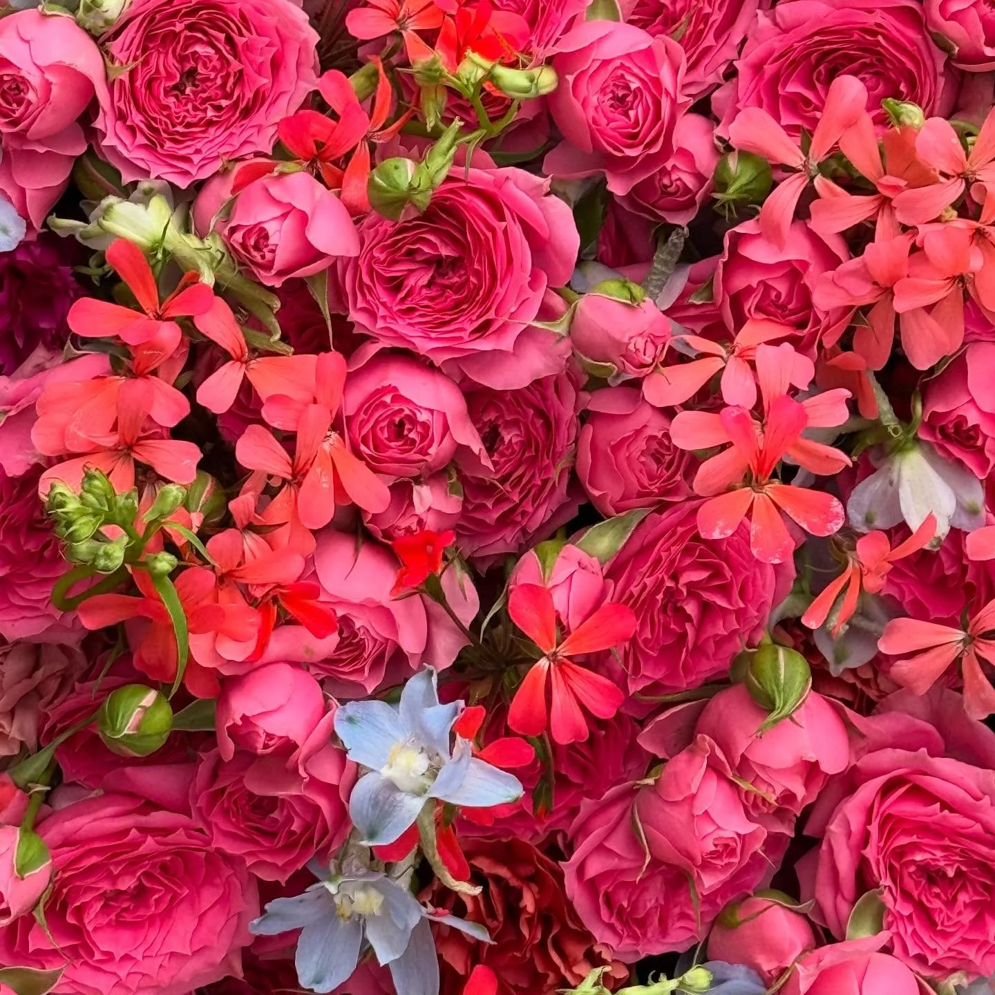 #zumabschied  #herz #blumenherz #trauerschmuck floralisa_blumen #oberwilbeizug #abschied #beerdigung #trauer