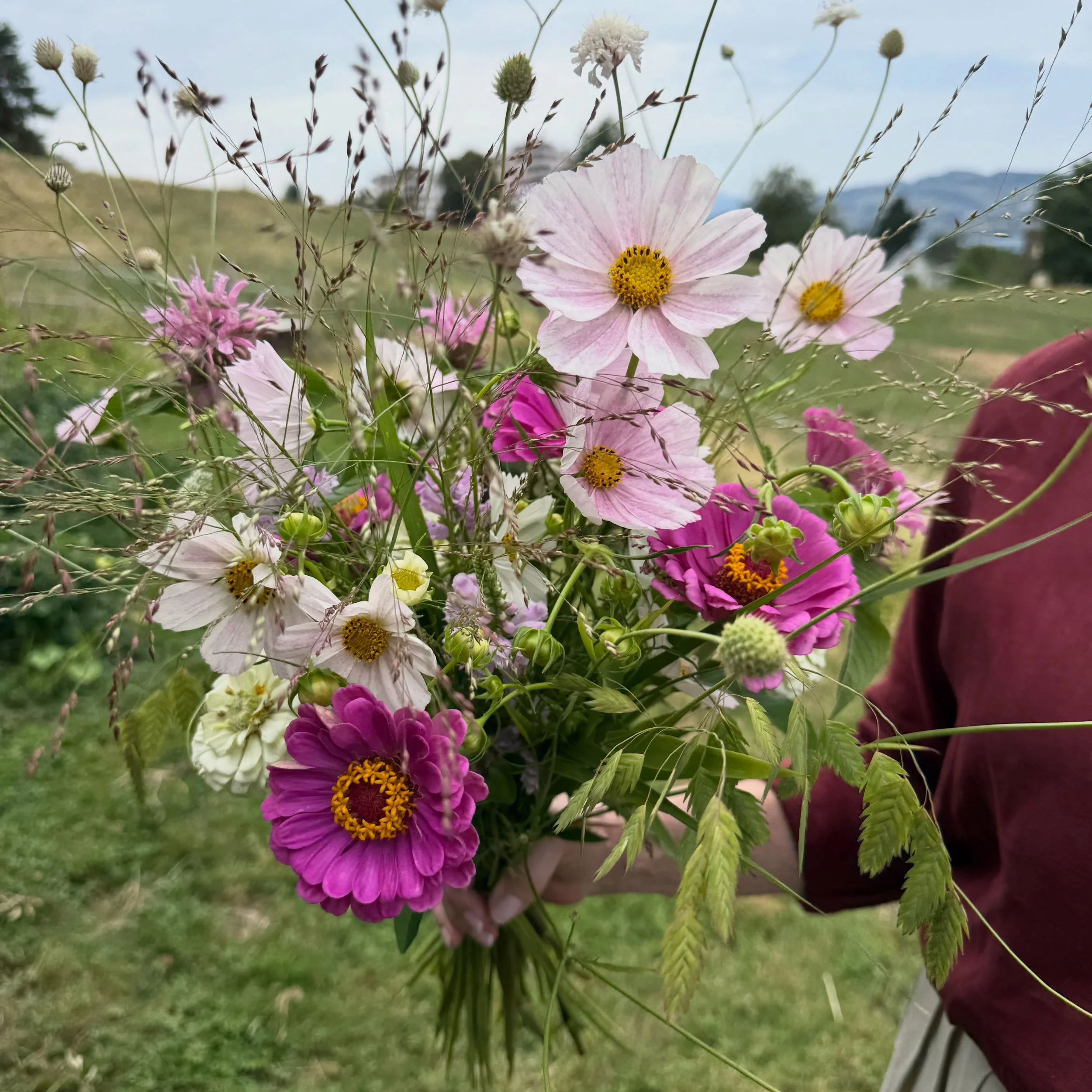 Sommergr&uuml;sse🌸

#sommer #blumenstrauss #augustblumenstrauss #cosmea #oberwilbeizug